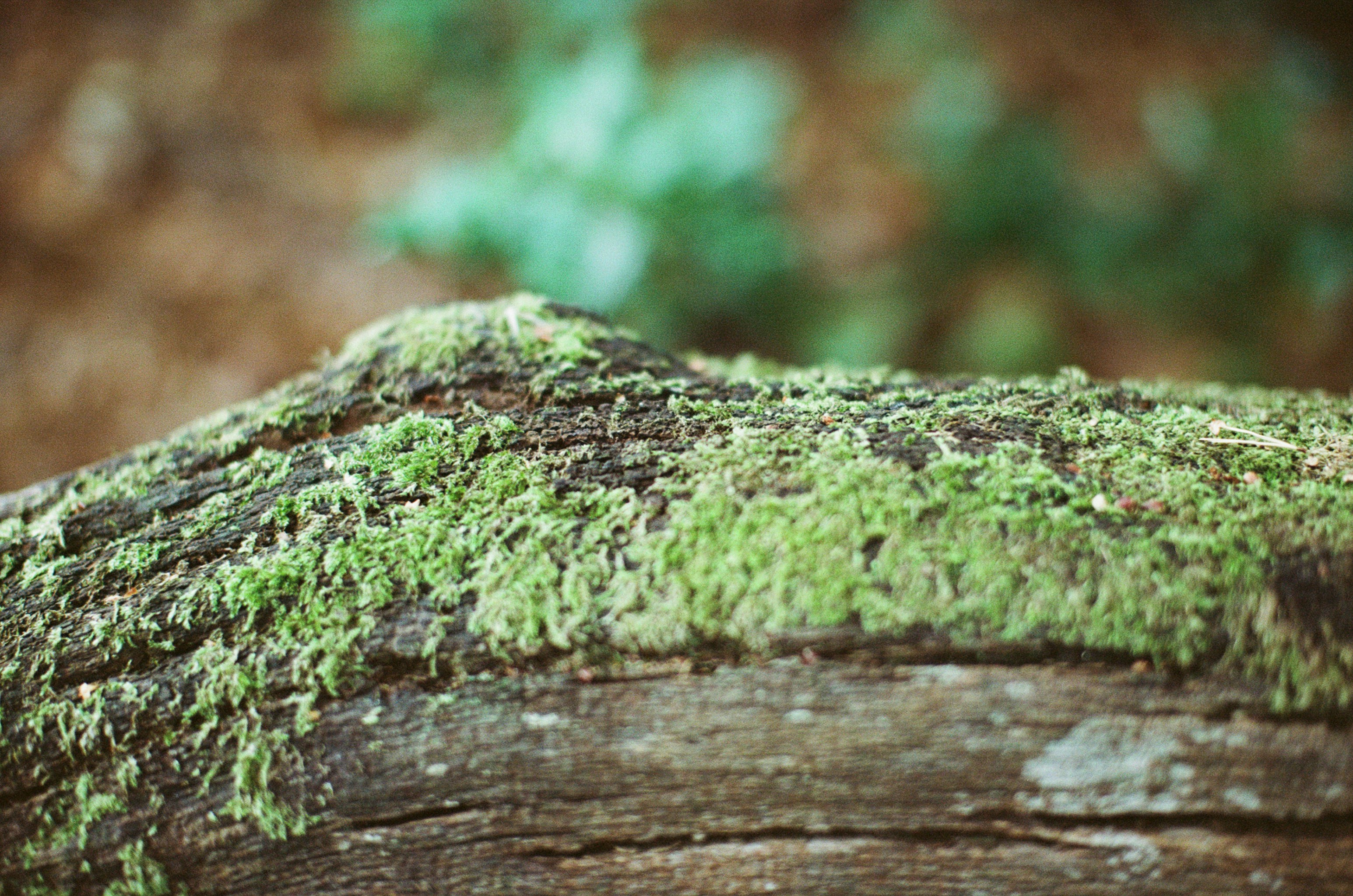 Photo by tanyabarrow