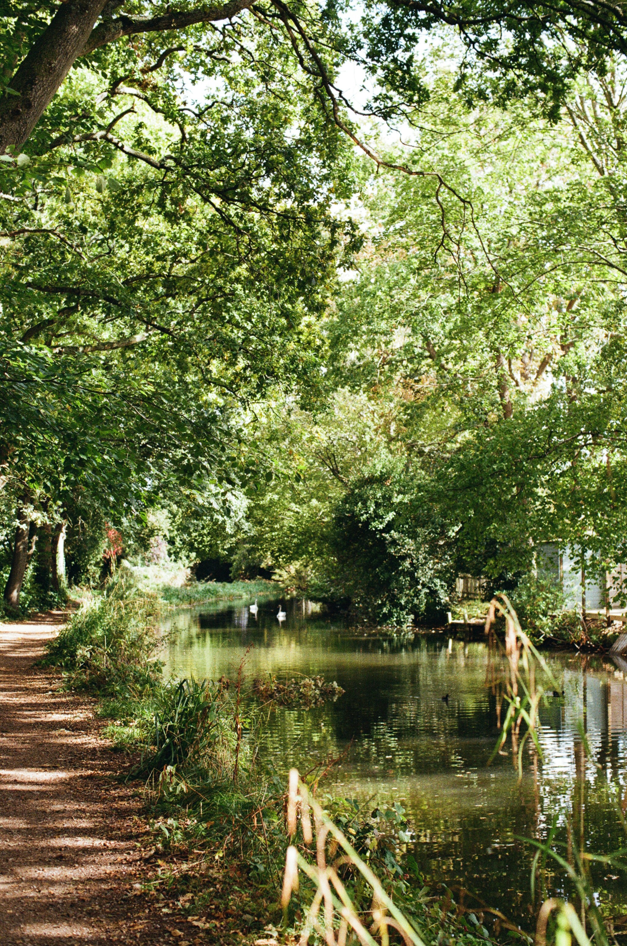 Photo by tanyabarrow