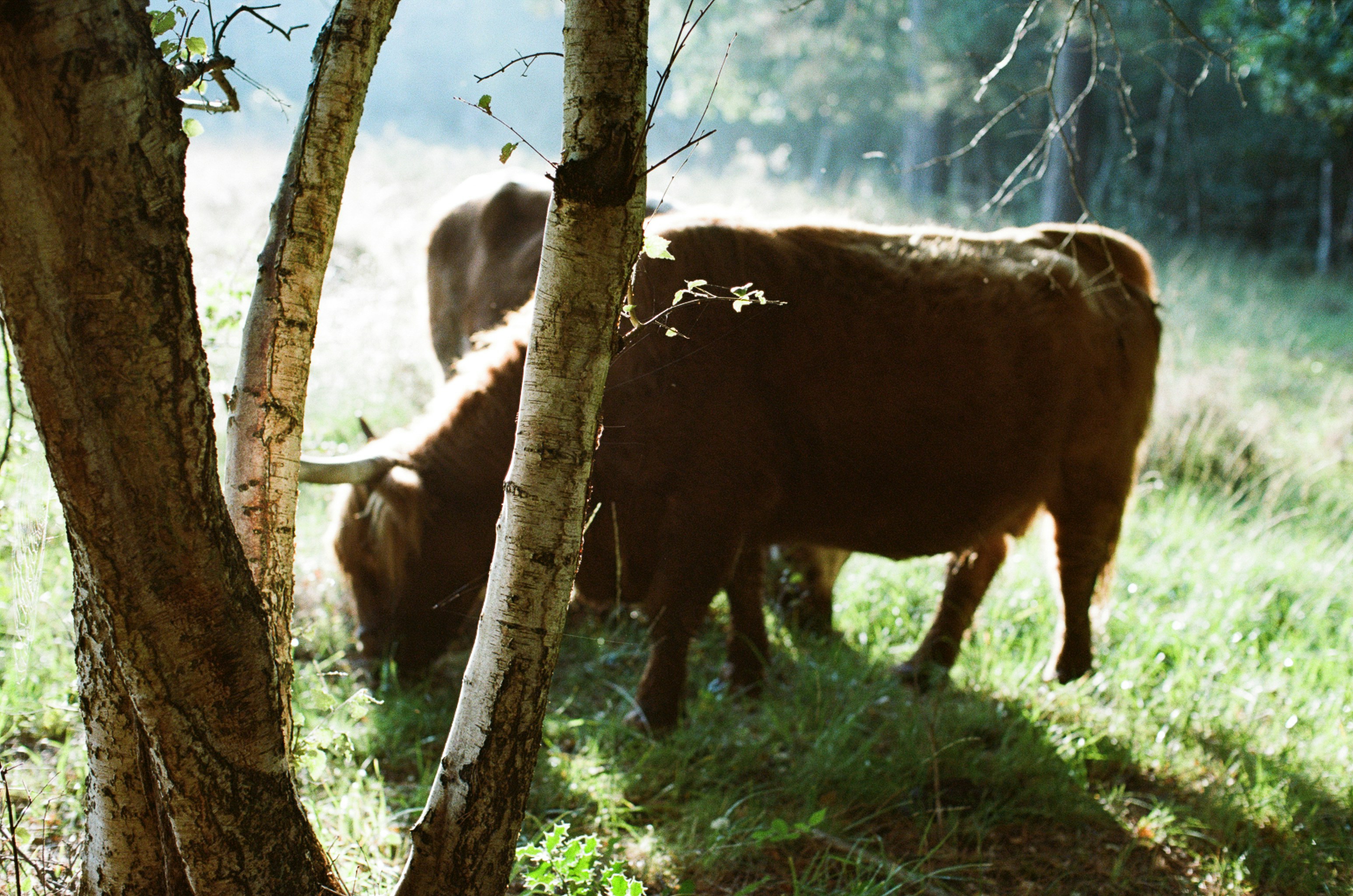 Photo by tanyabarrow