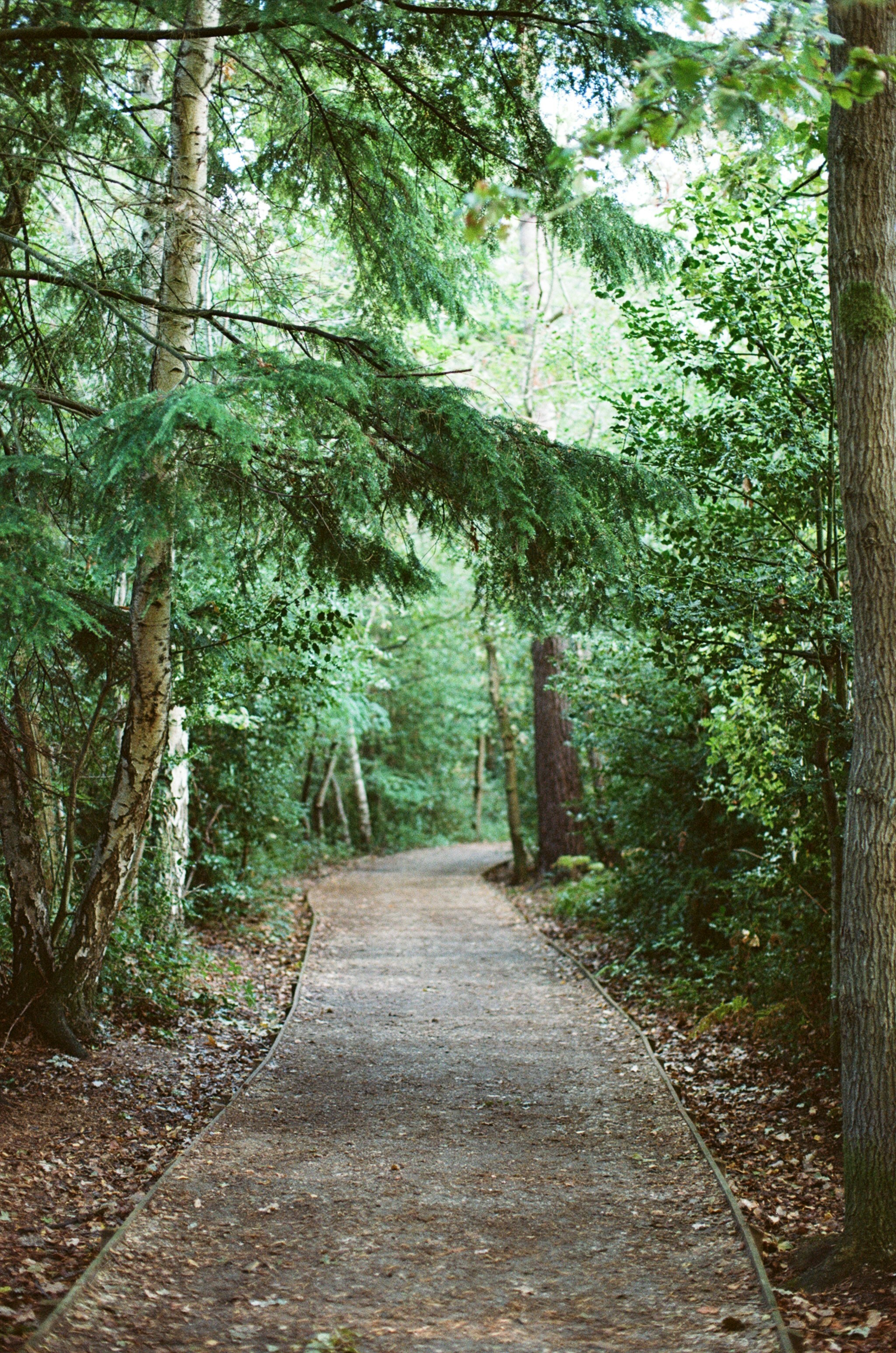 Photo by tanyabarrow