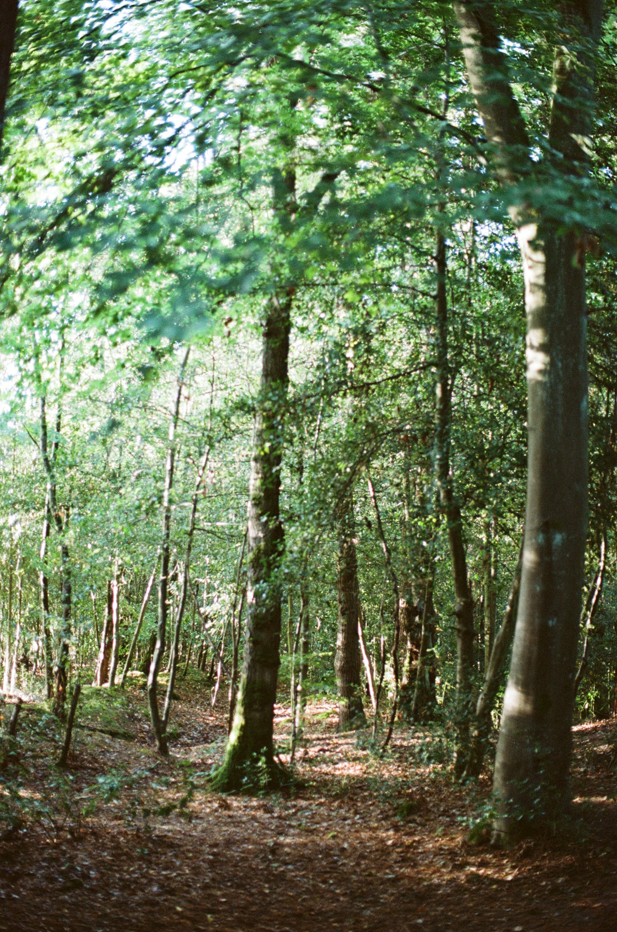 Photo by tanyabarrow