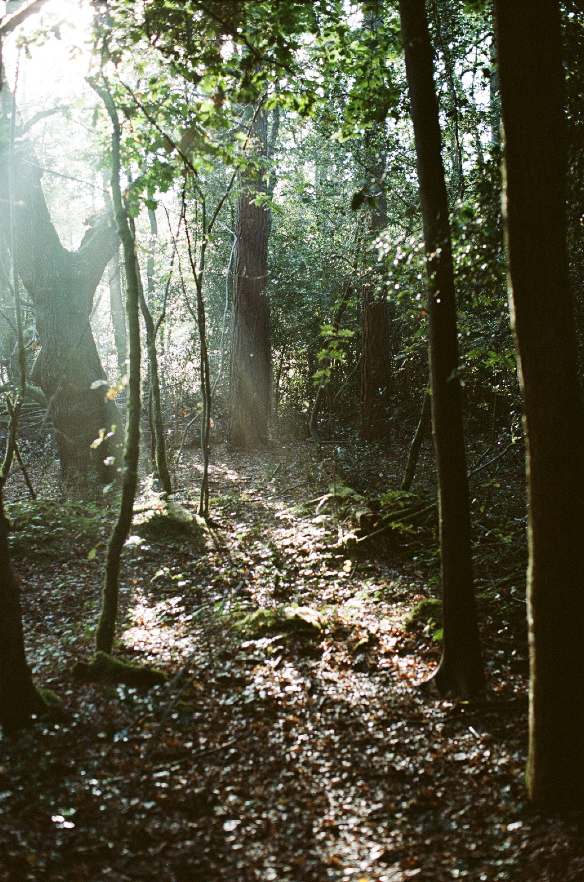 Photo by tanyabarrow