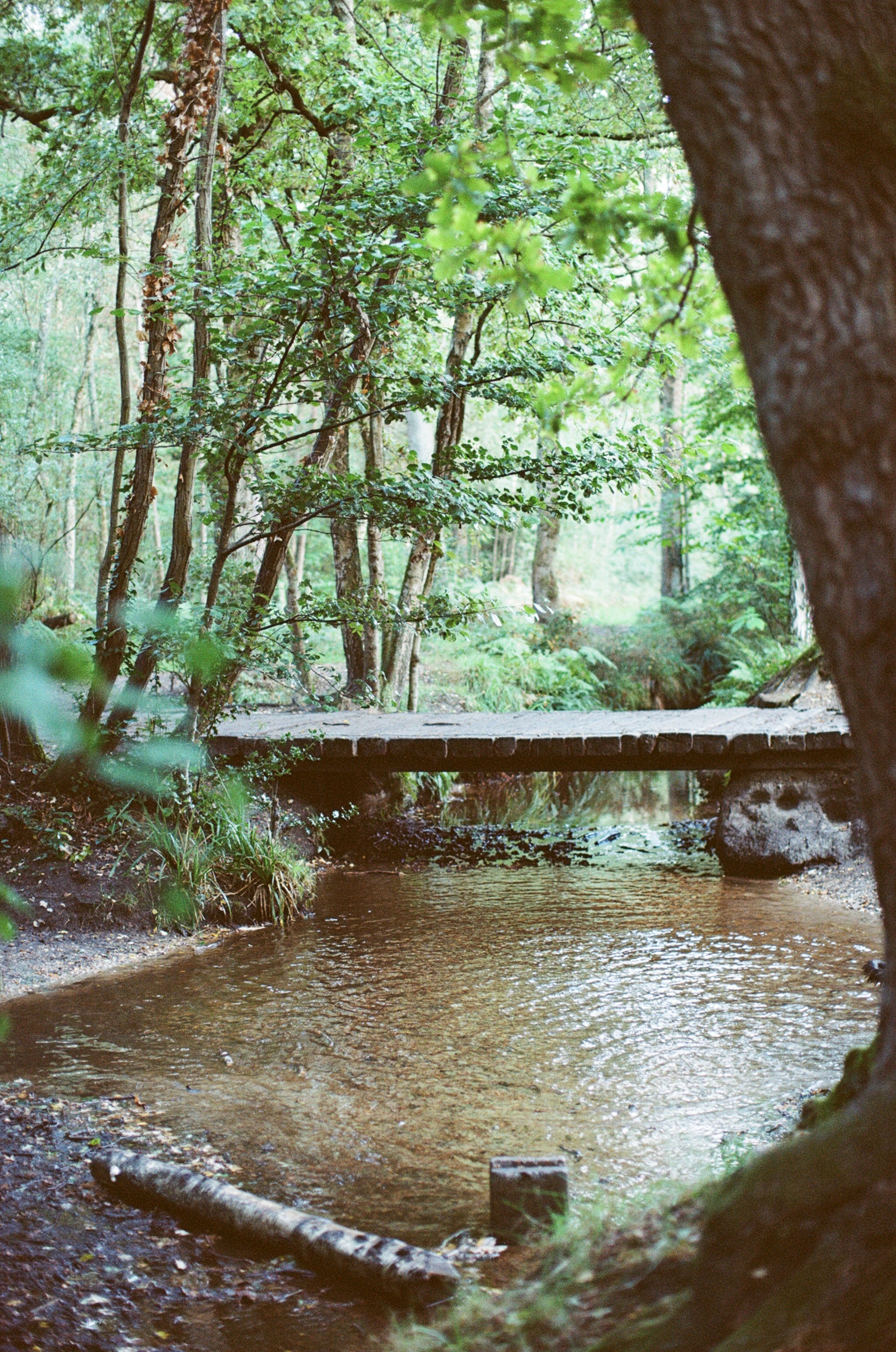 Photo by tanyabarrow