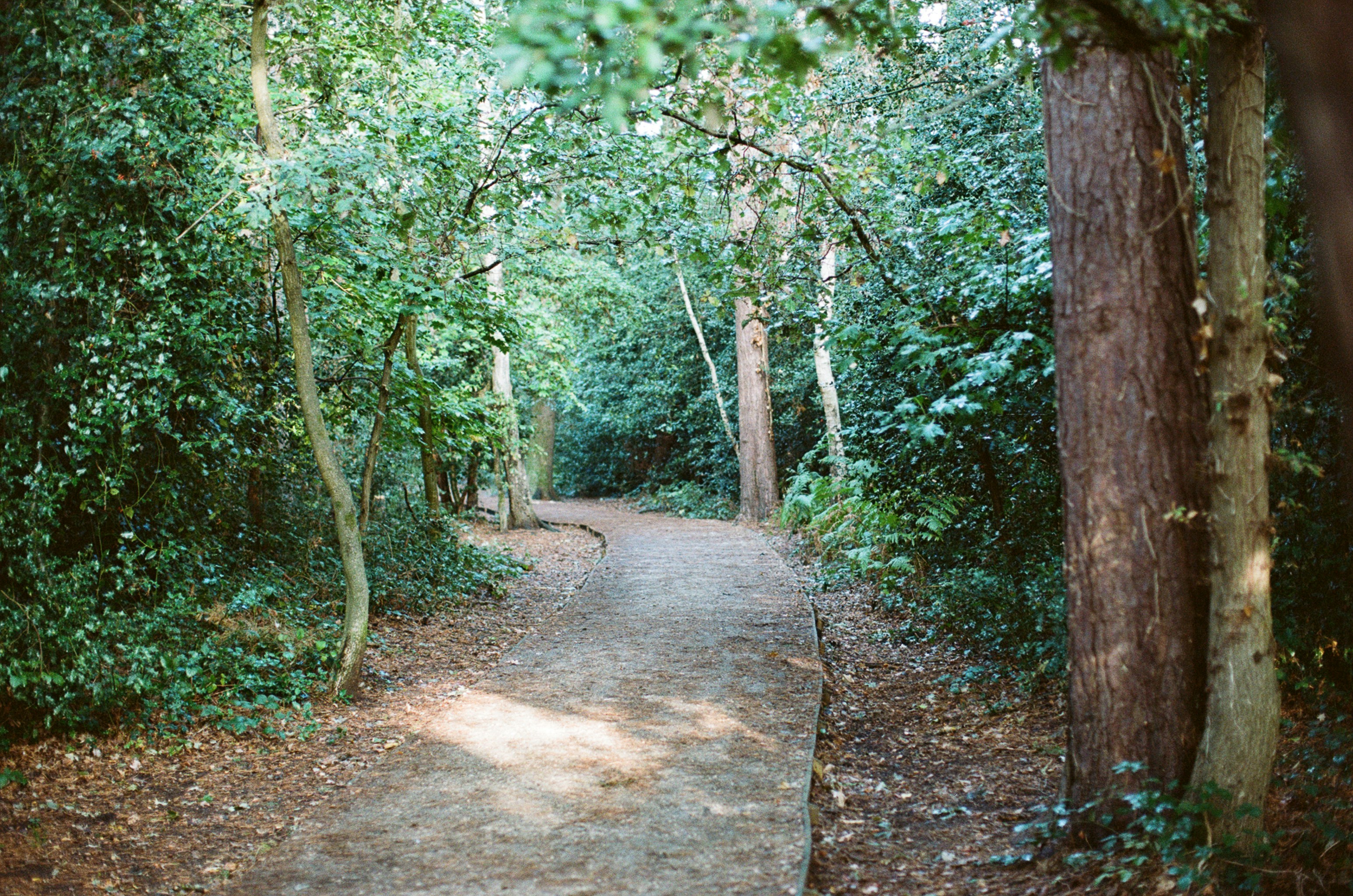 Photo by tanyabarrow