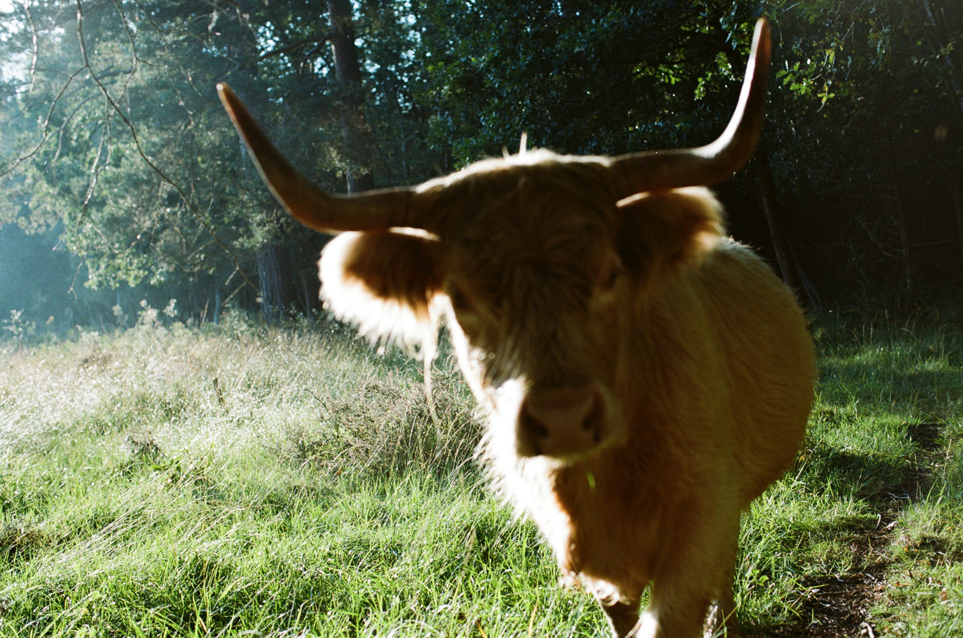 Photo by tanyabarrow