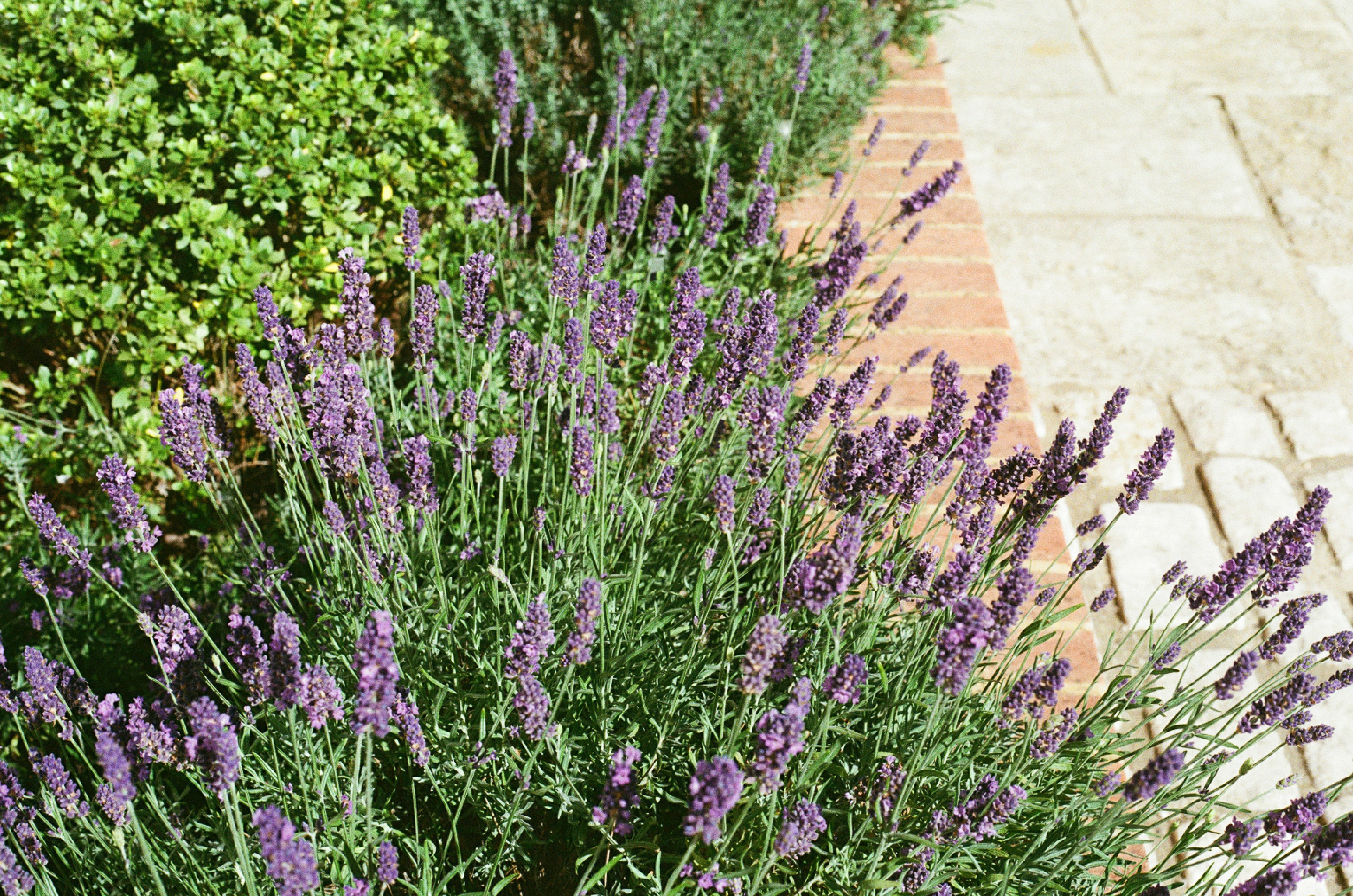 Photo by tanyabarrow