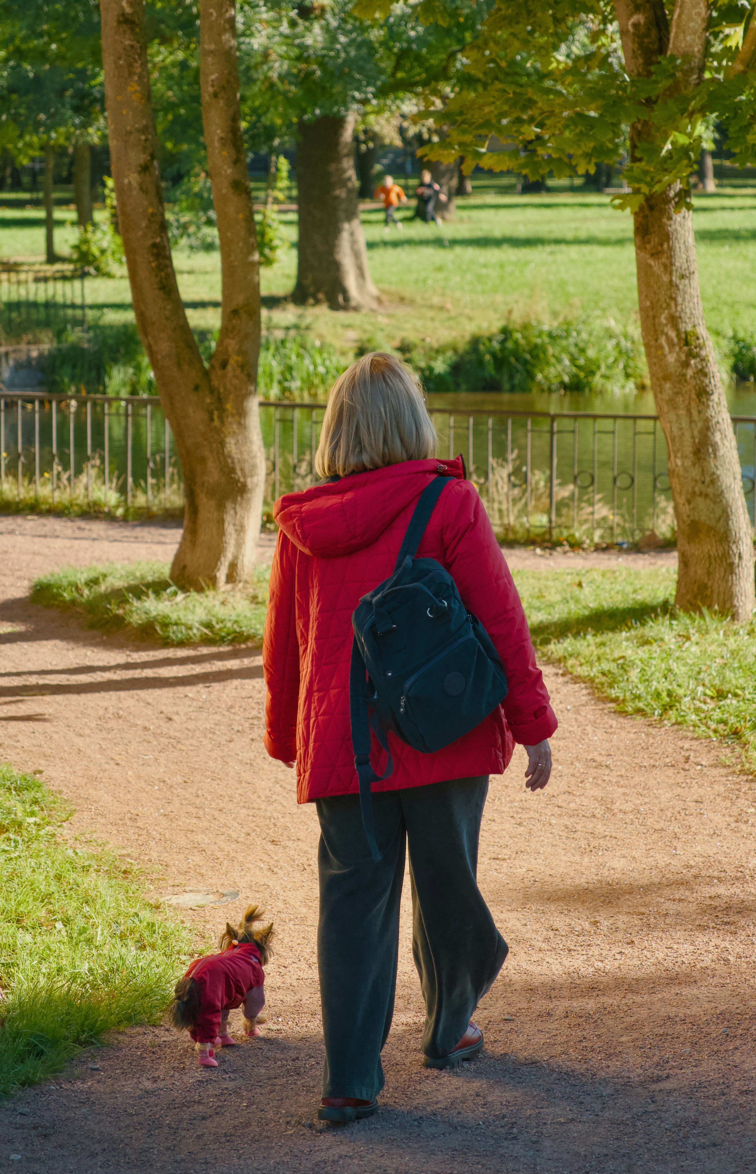 Frau führt Hund an der Leine im sonnigen Park aus