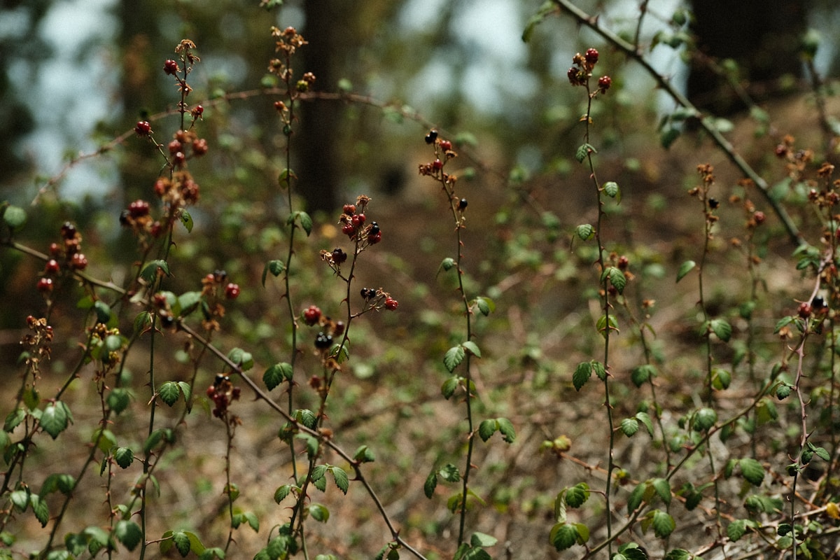 NAD+ and NMN in Anti-Aging Skincare: What You Need to Know