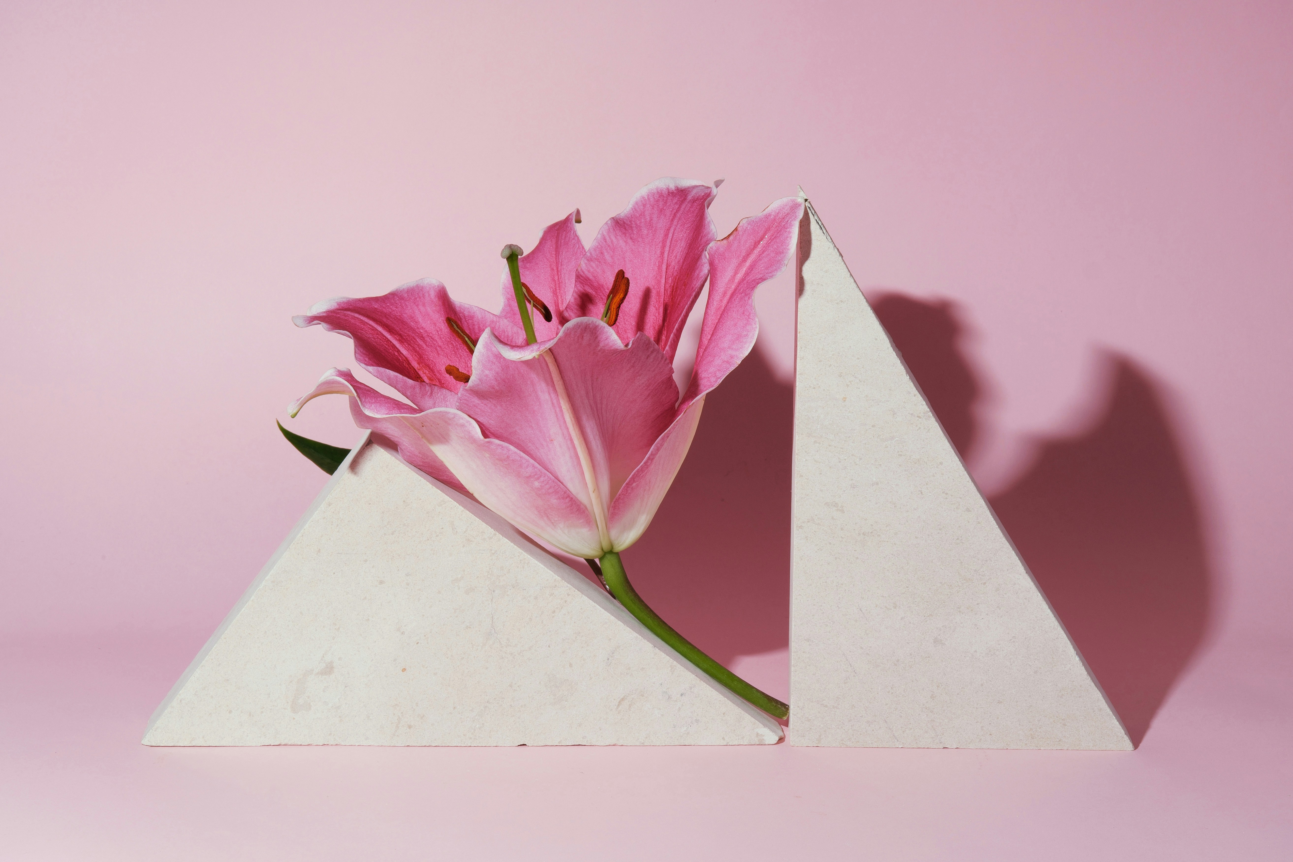 Pink lily flower arrangement