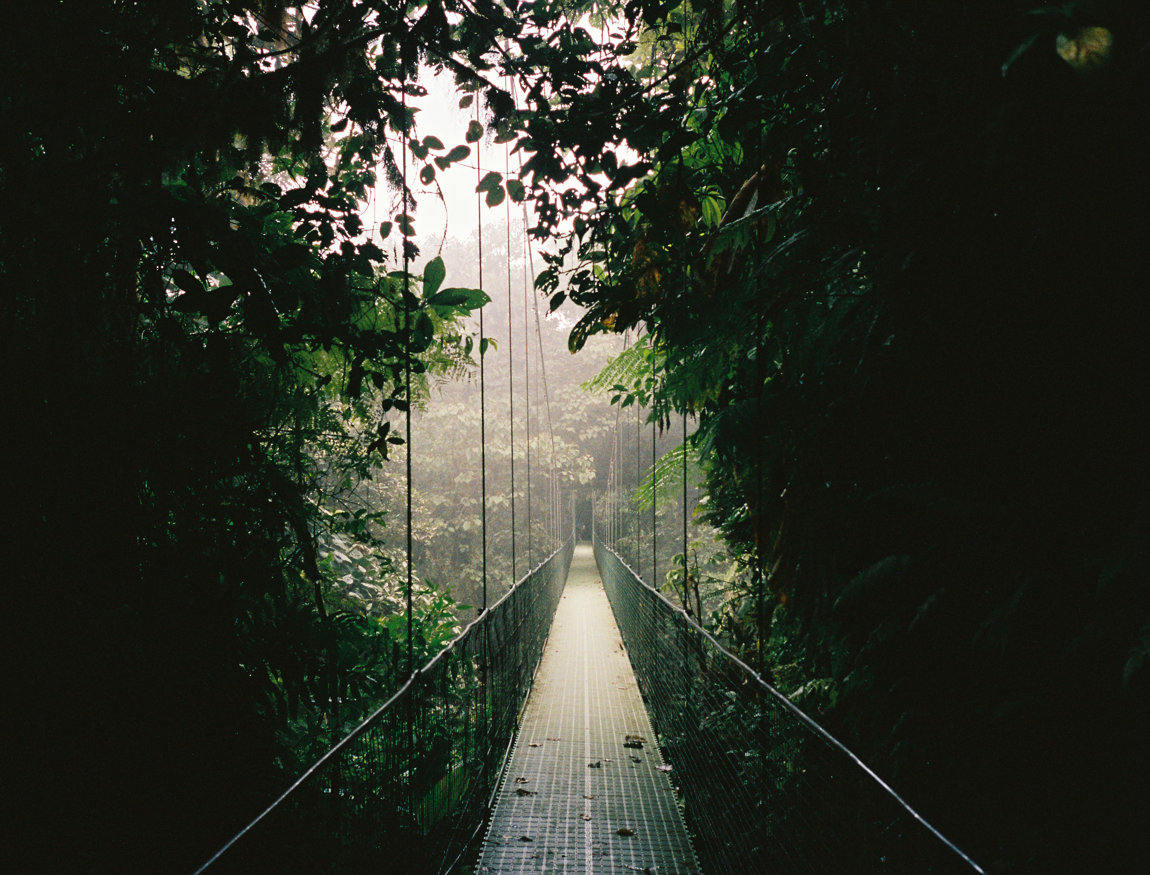 Photo by quietcreativestudio