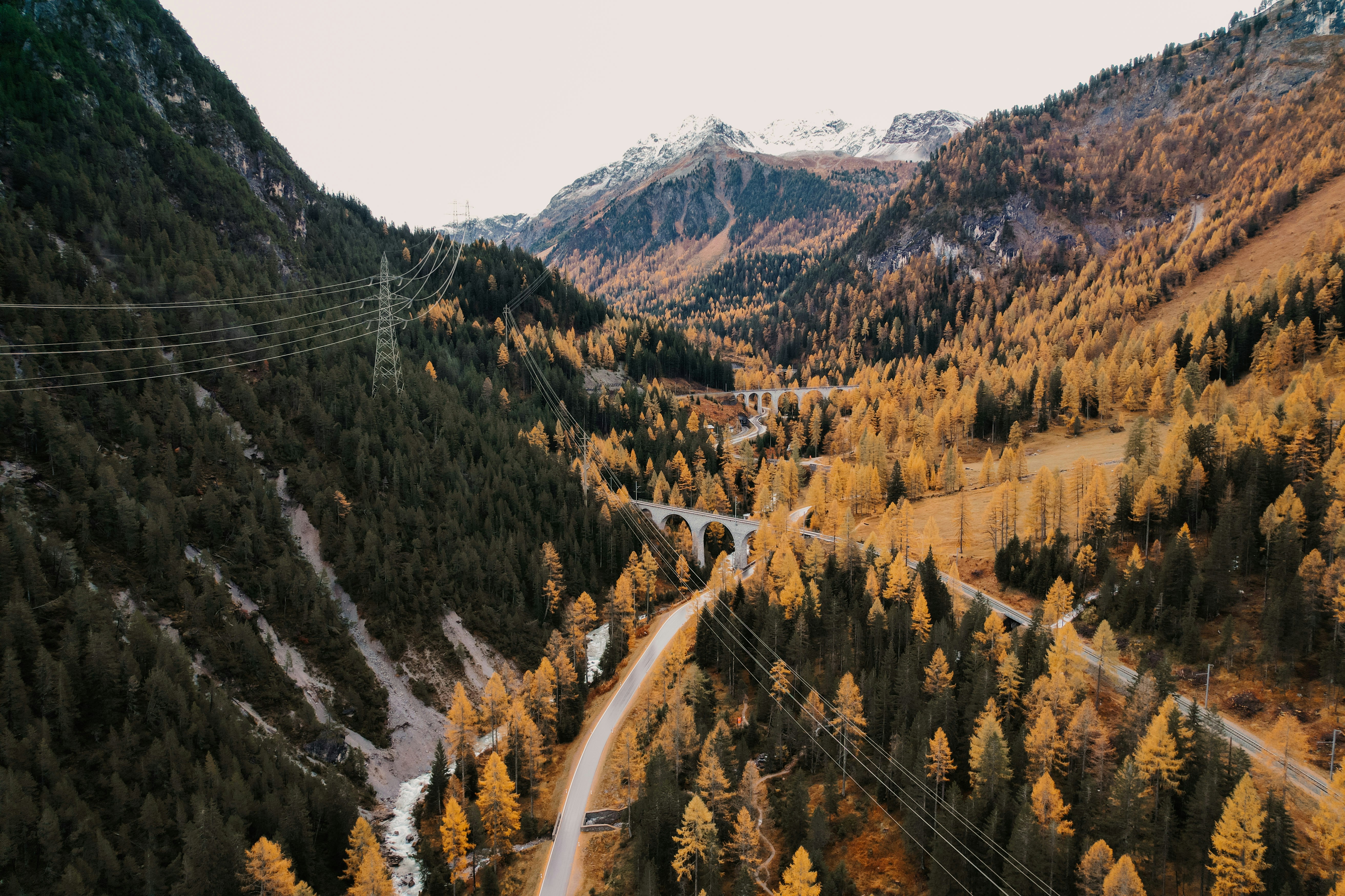 Autumn trees line a winding mountain road with power lines.