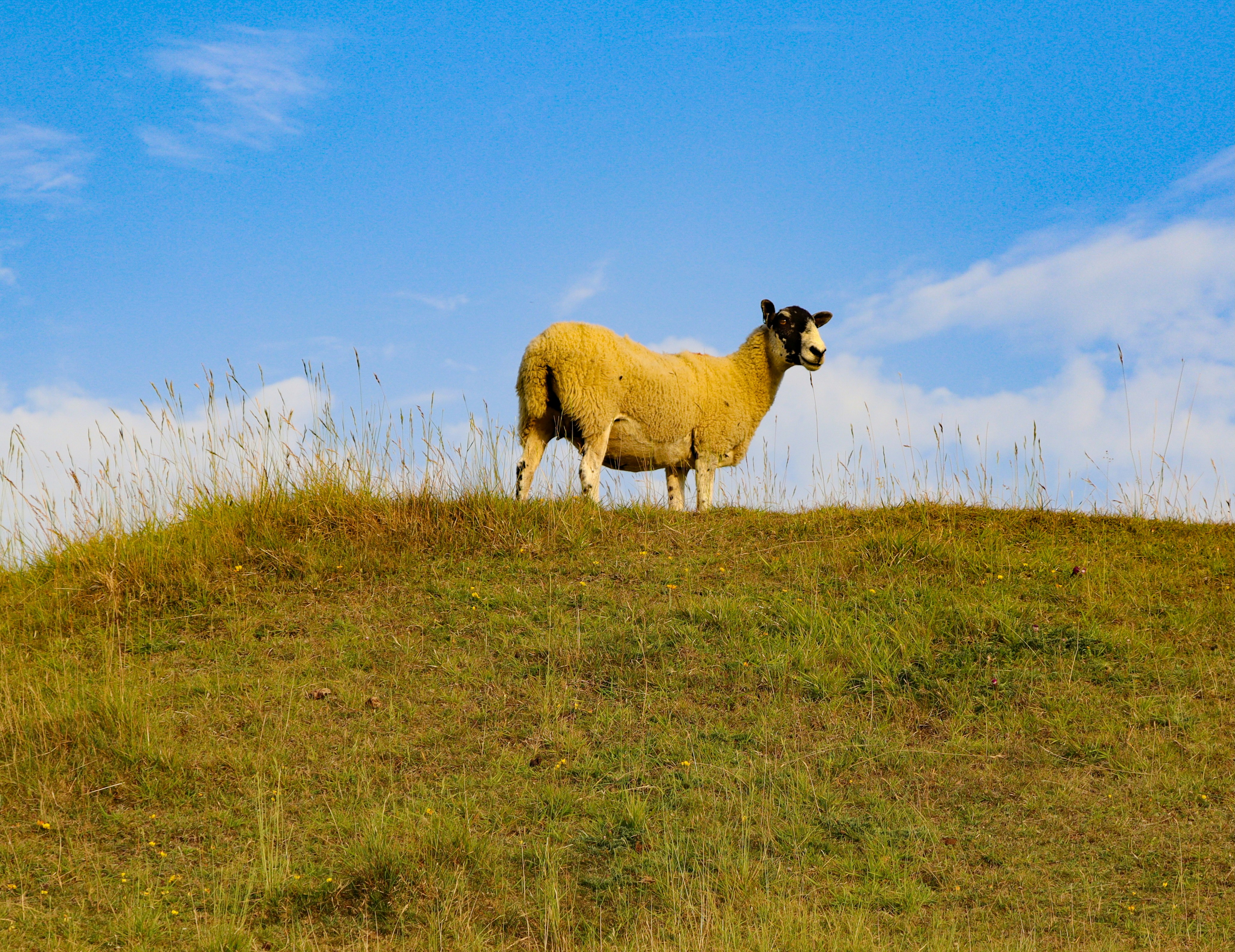 Photo by mhfphotographygb