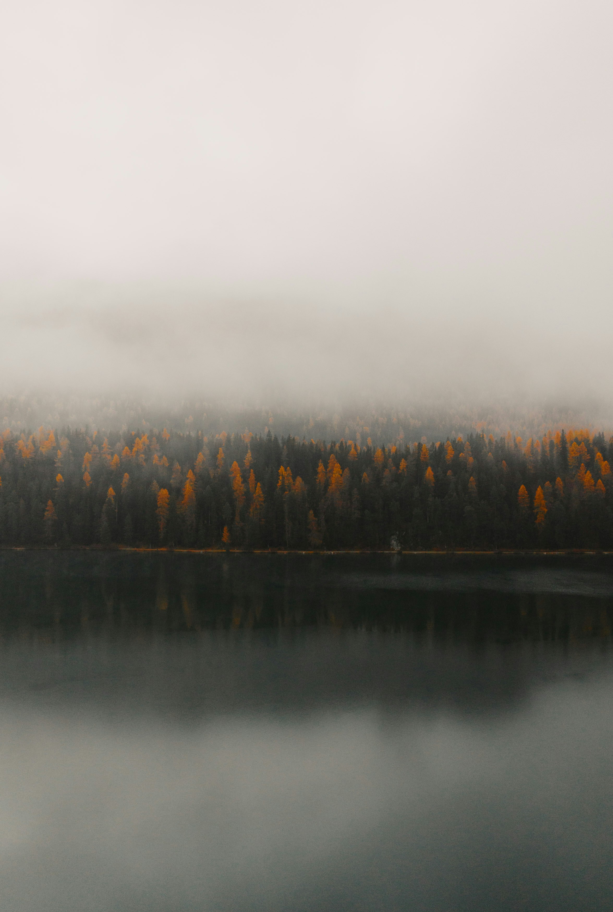 Misty autumn forest reflected in a calm lake
