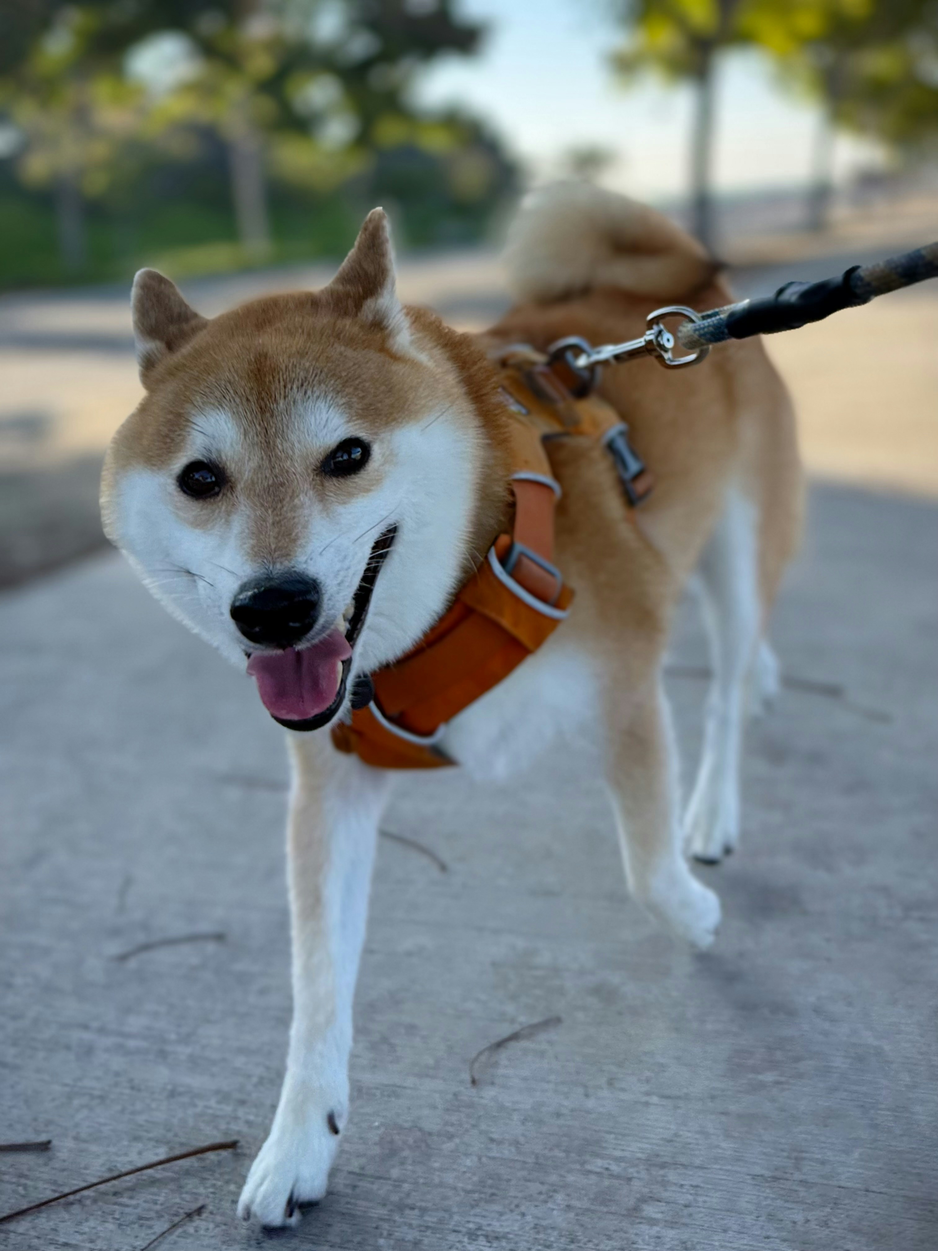 Photo by johnnyalohaphotography