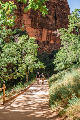 Two hikers walk on a desert trail near red cliffs.