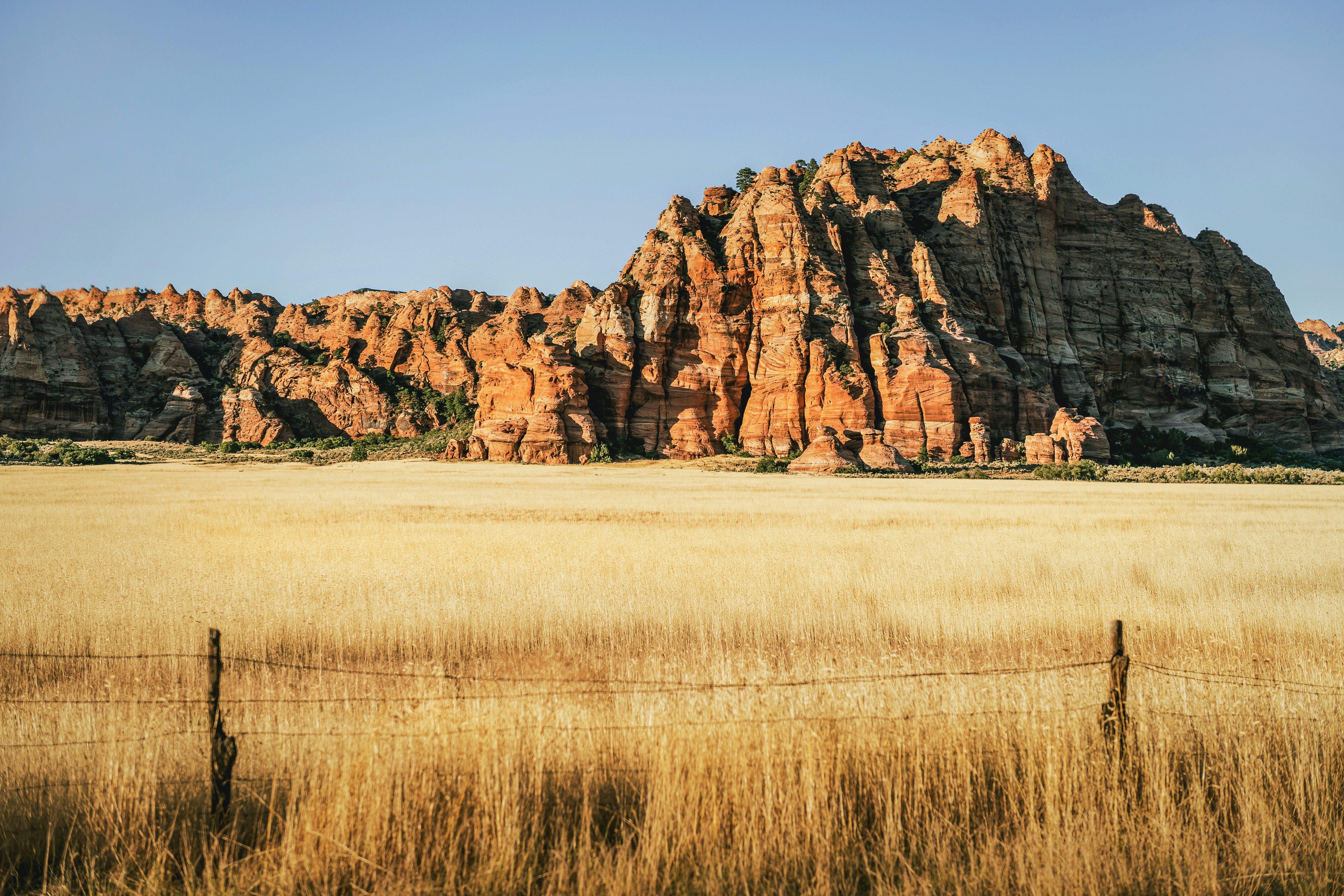 Photo by timmossholder