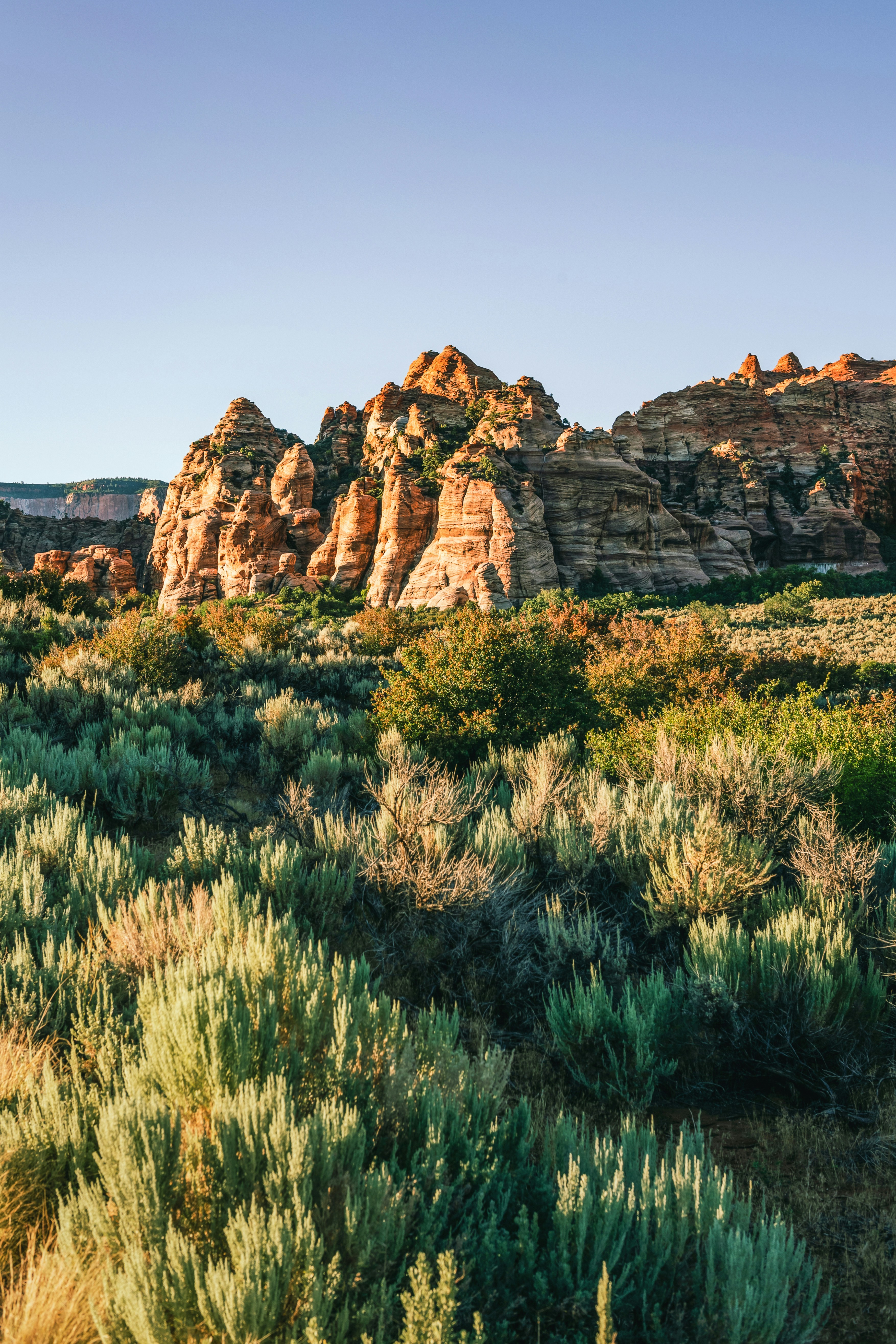 Rocky desert landscape with sparse green bushes.