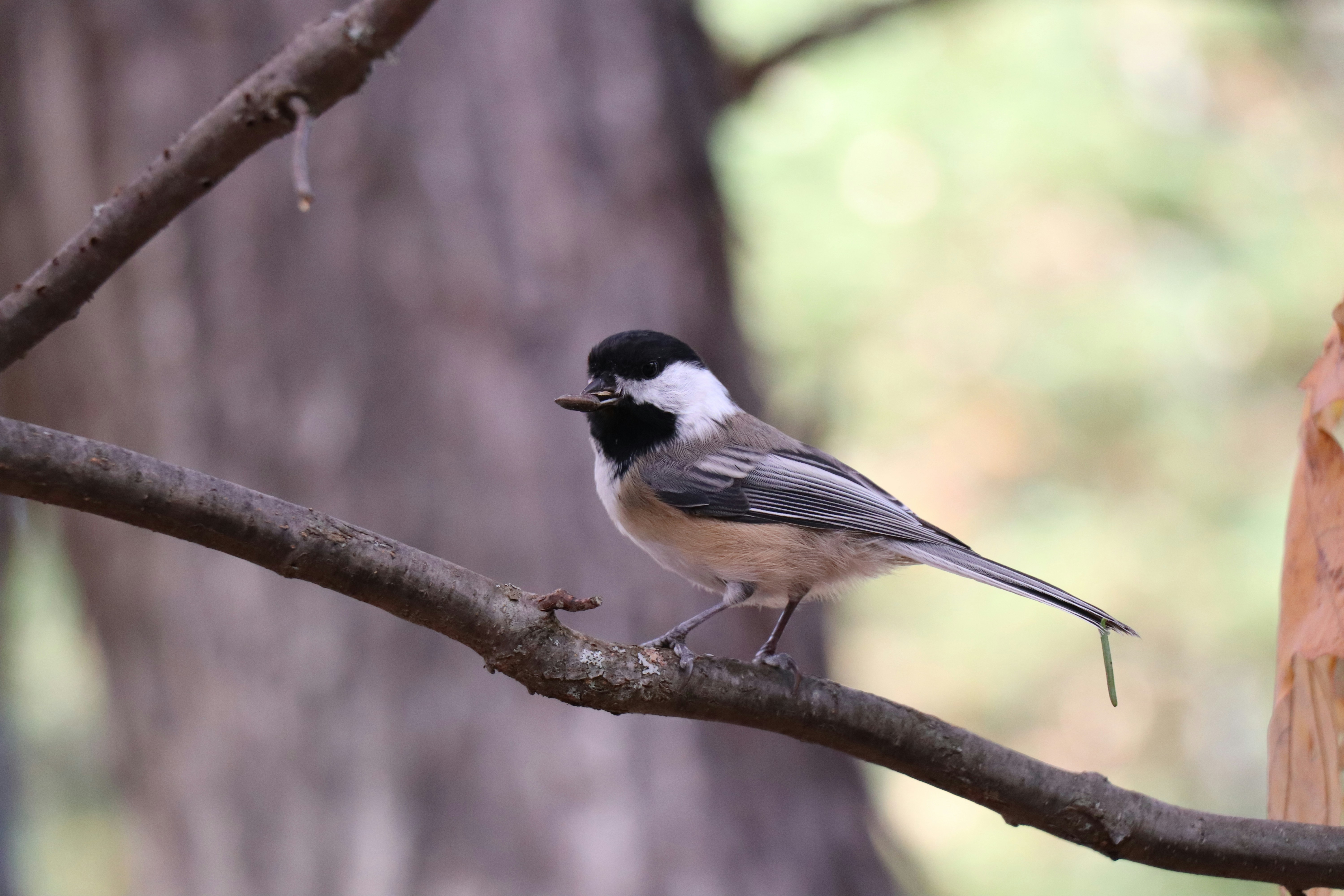 Photo by sandimagerart