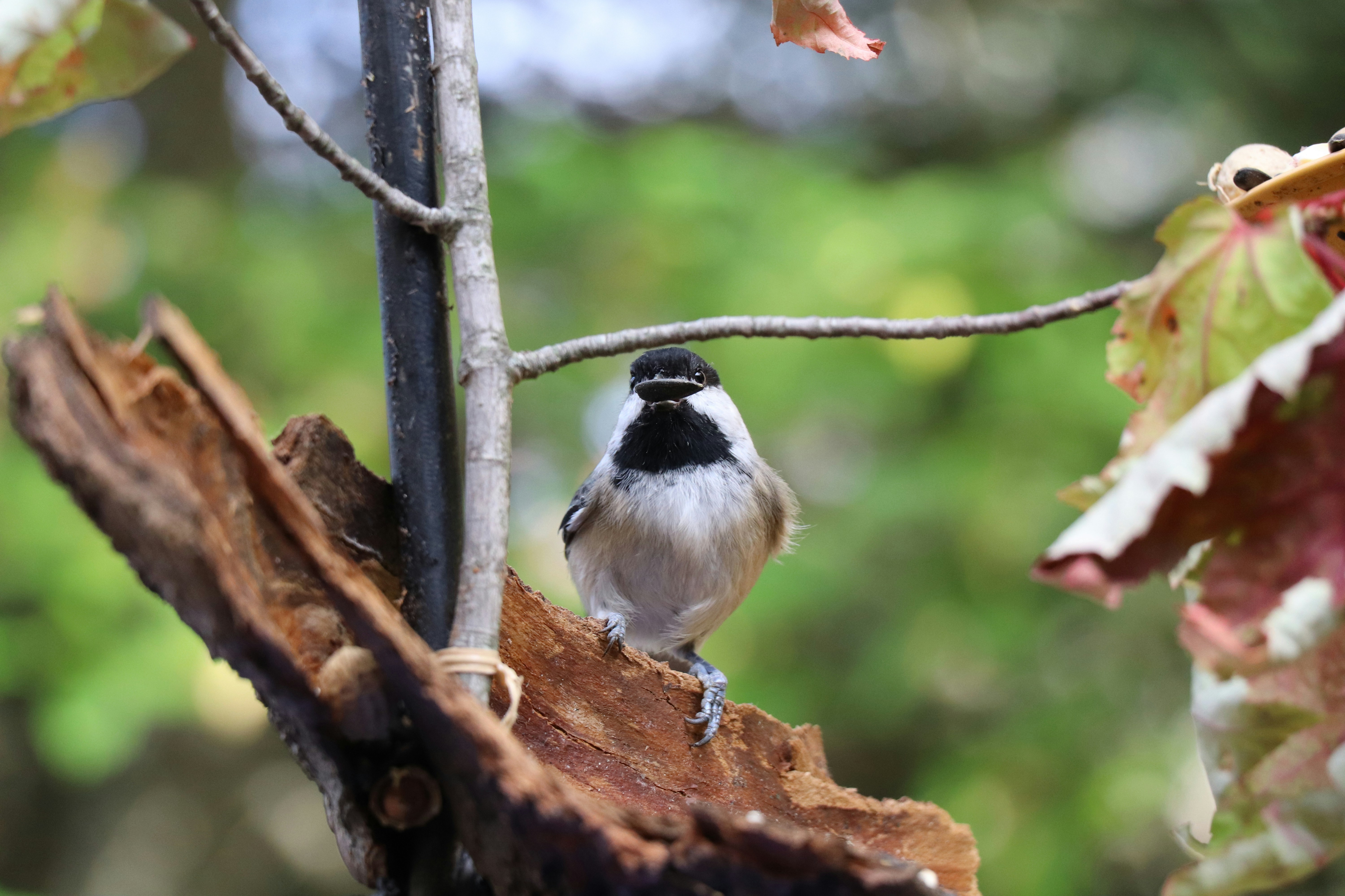 Photo by sandimagerart