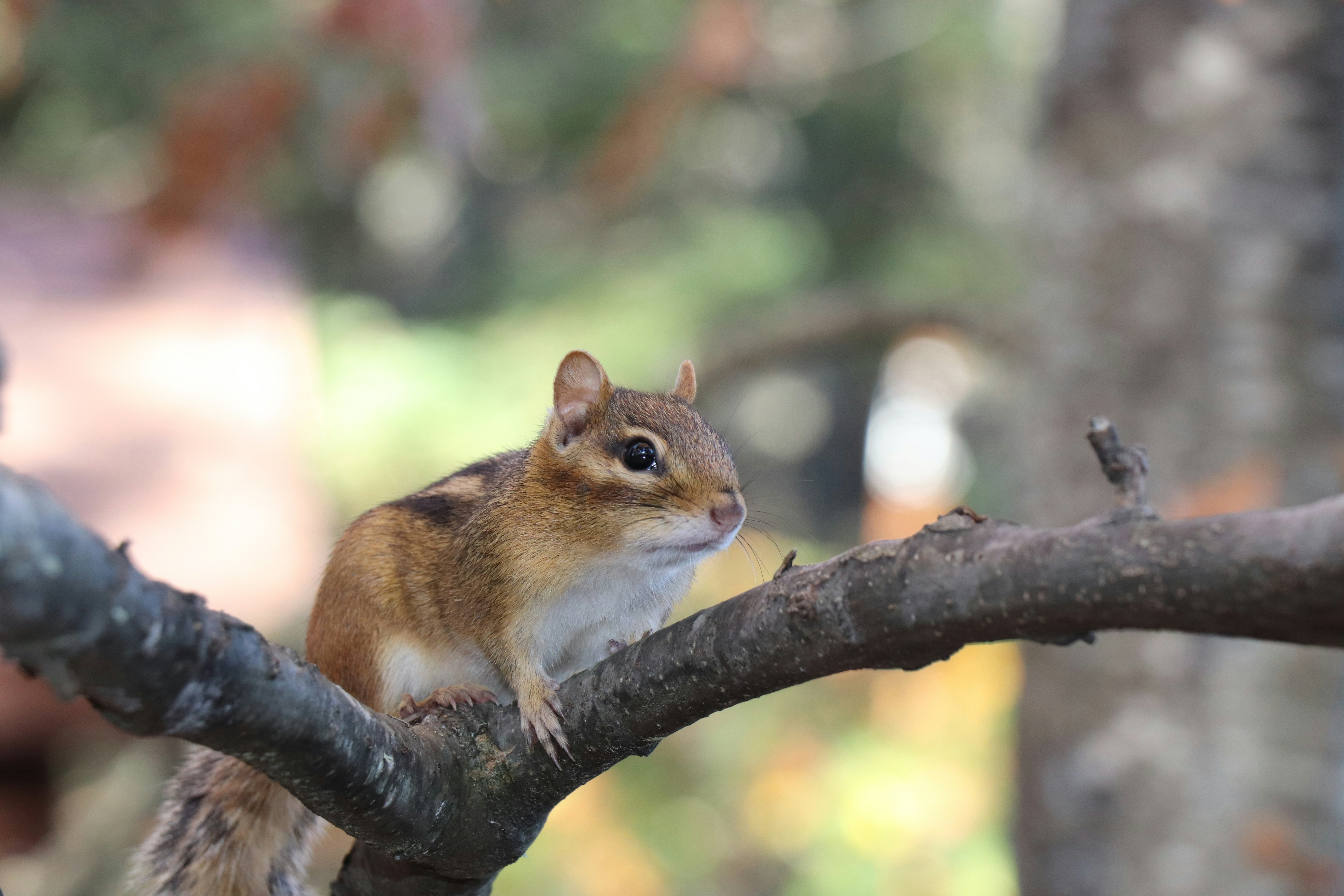 Photo by sandimagerart