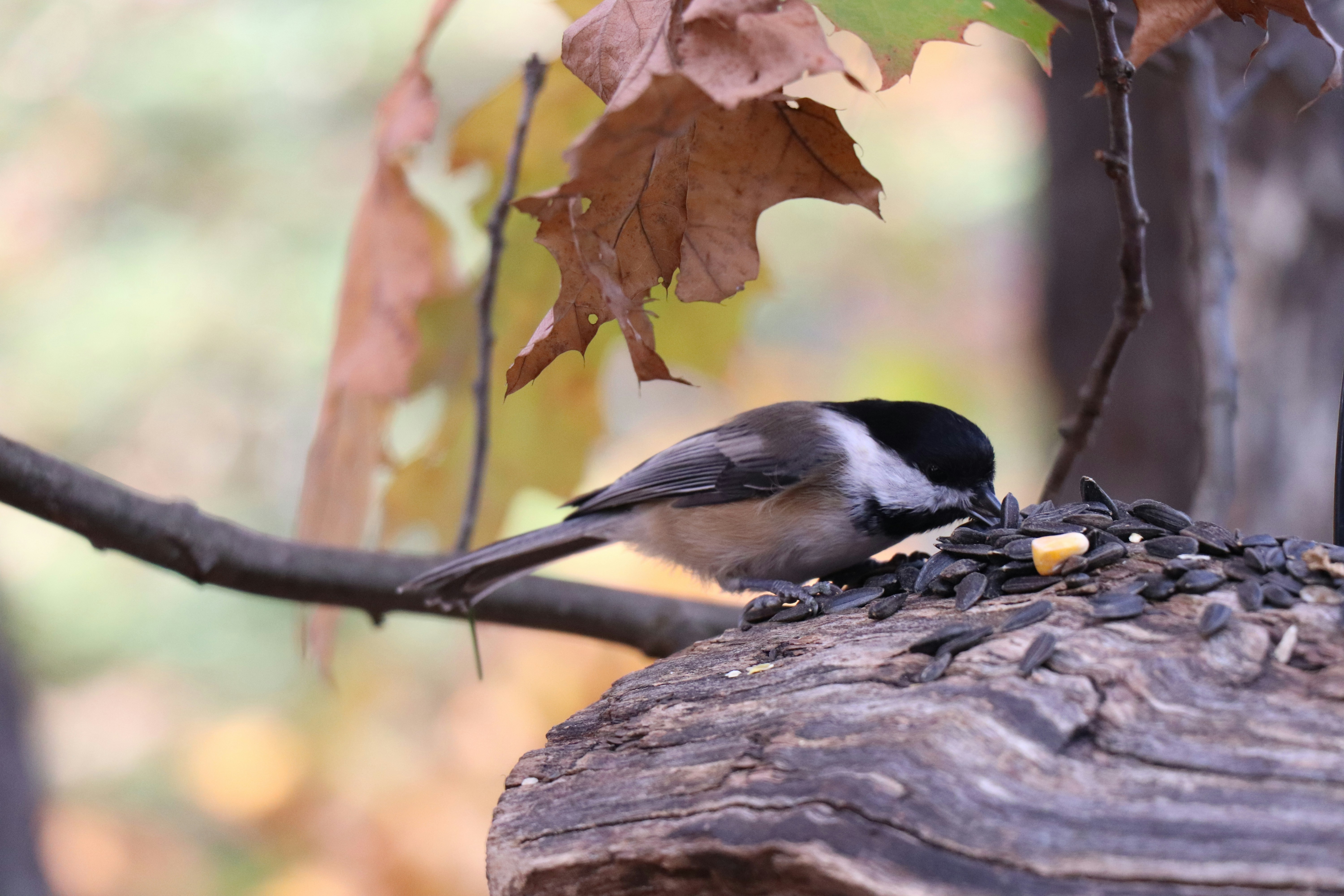 Photo by sandimagerart