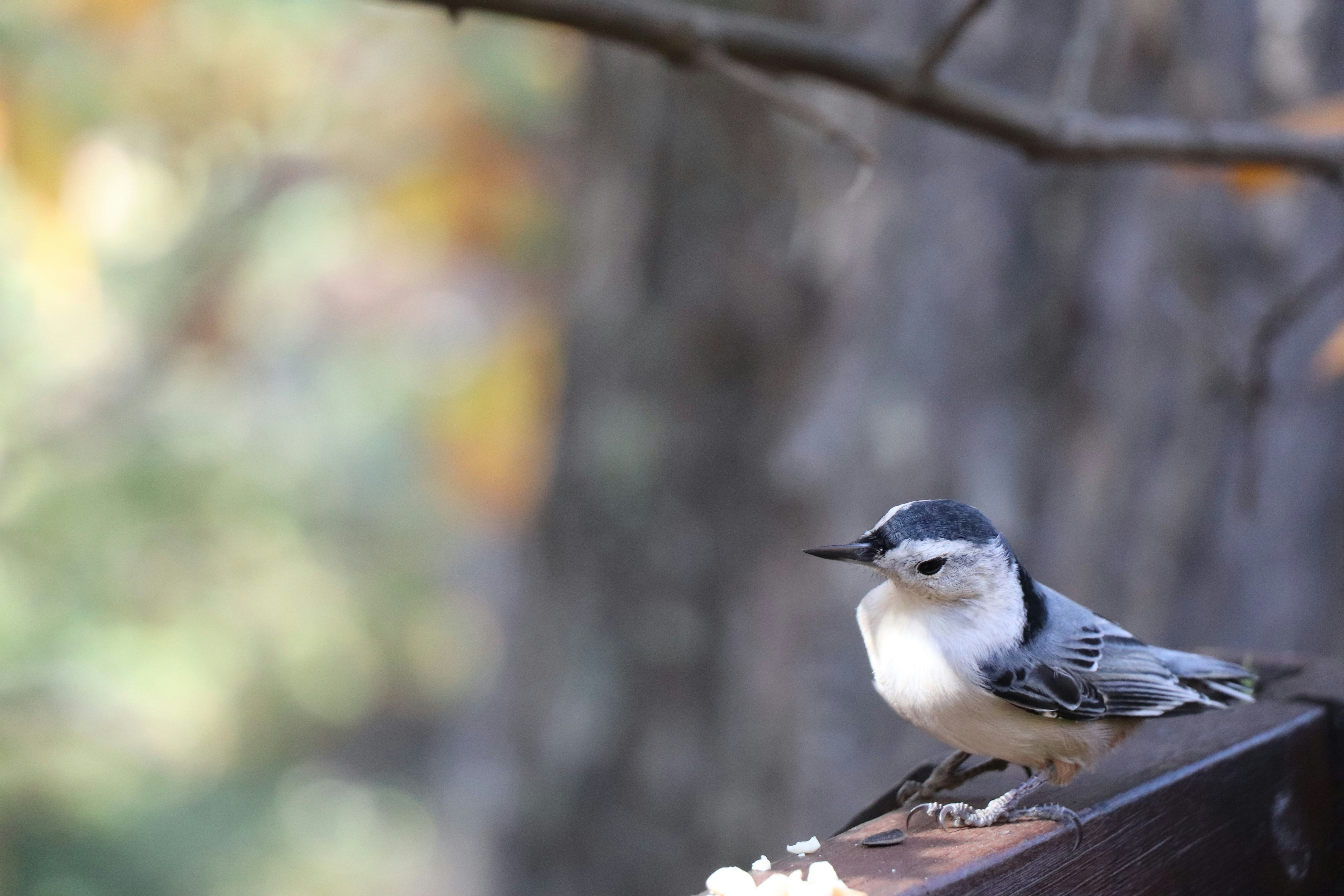 Photo by sandimagerart