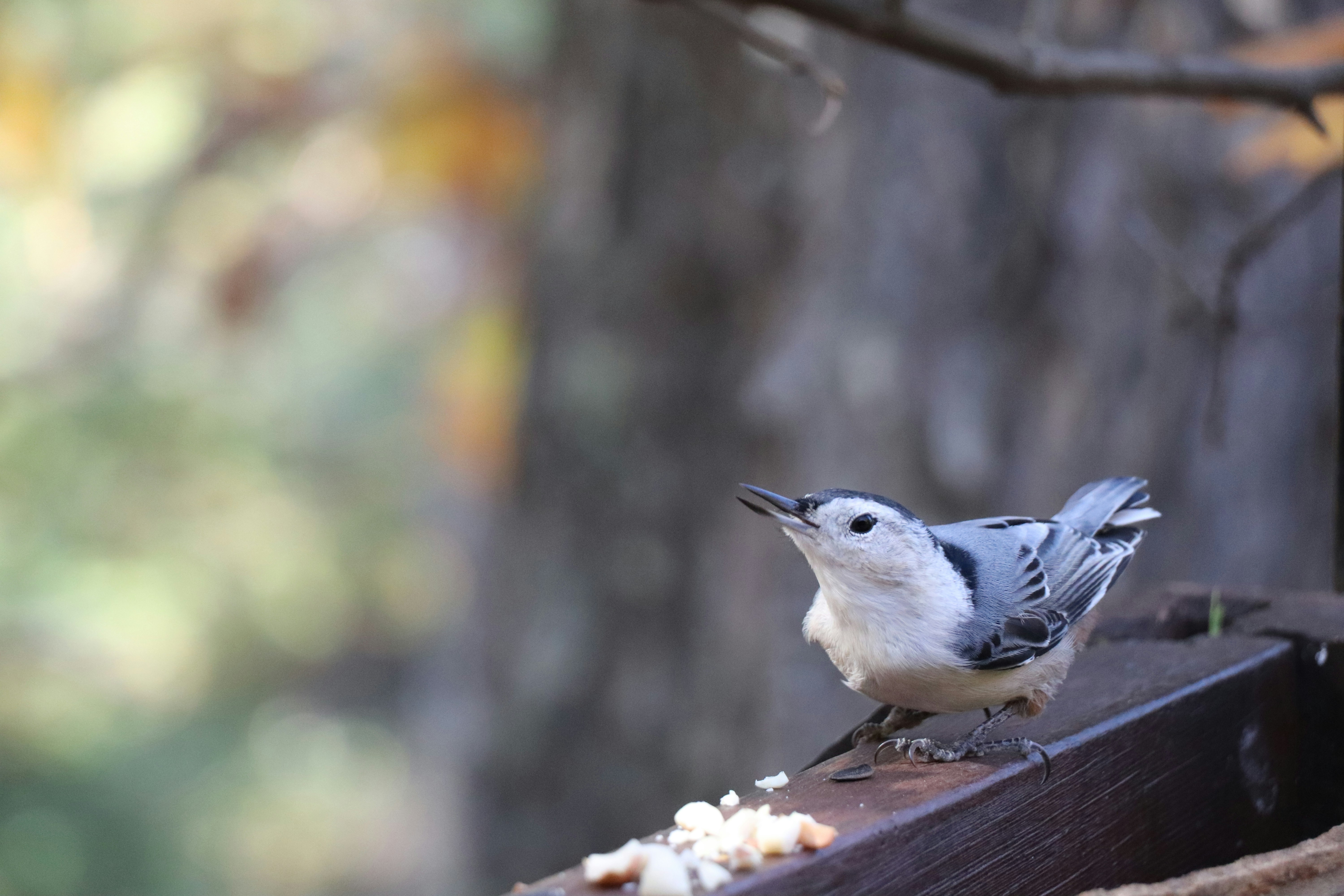 Photo by sandimagerart