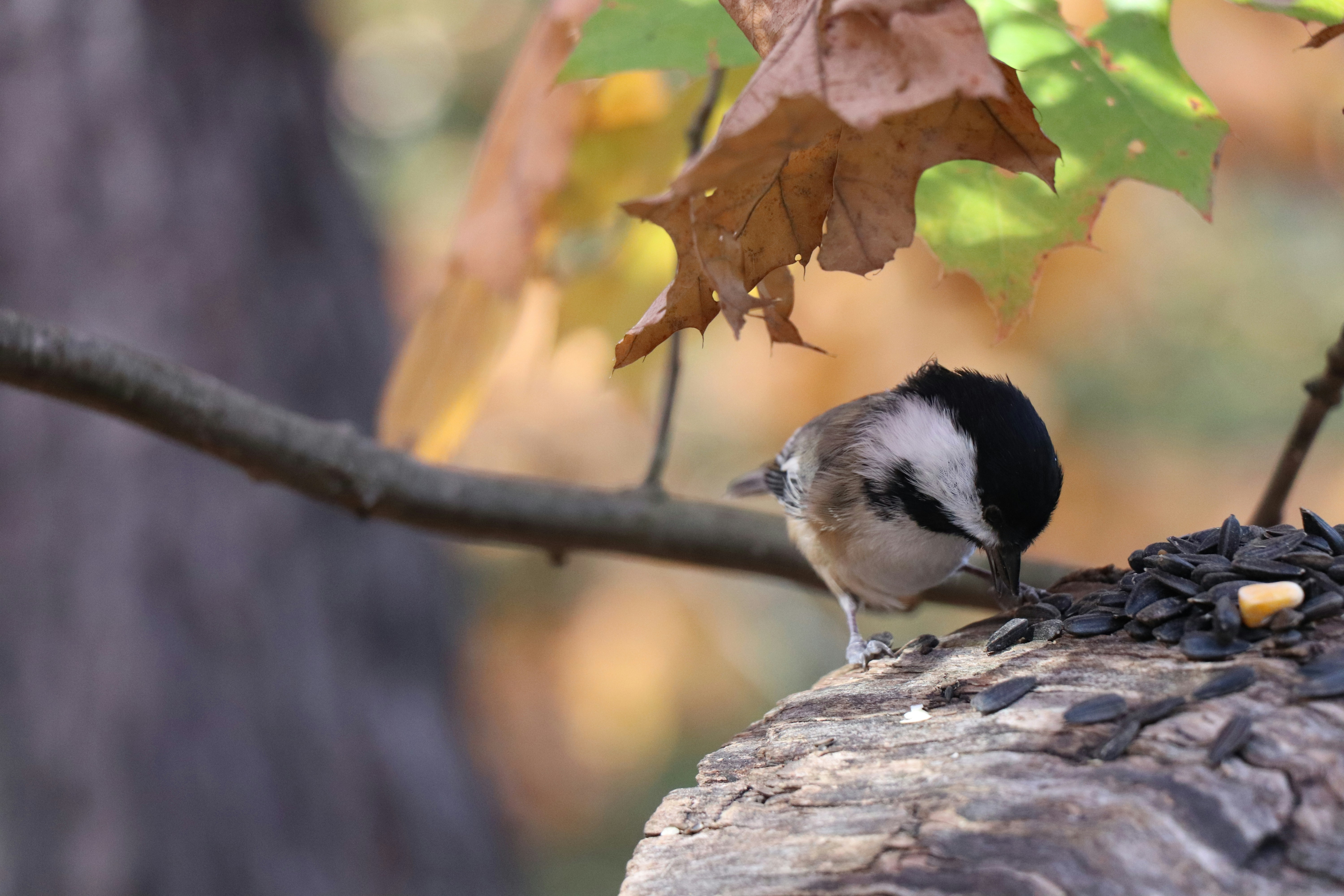 Photo by sandimagerart