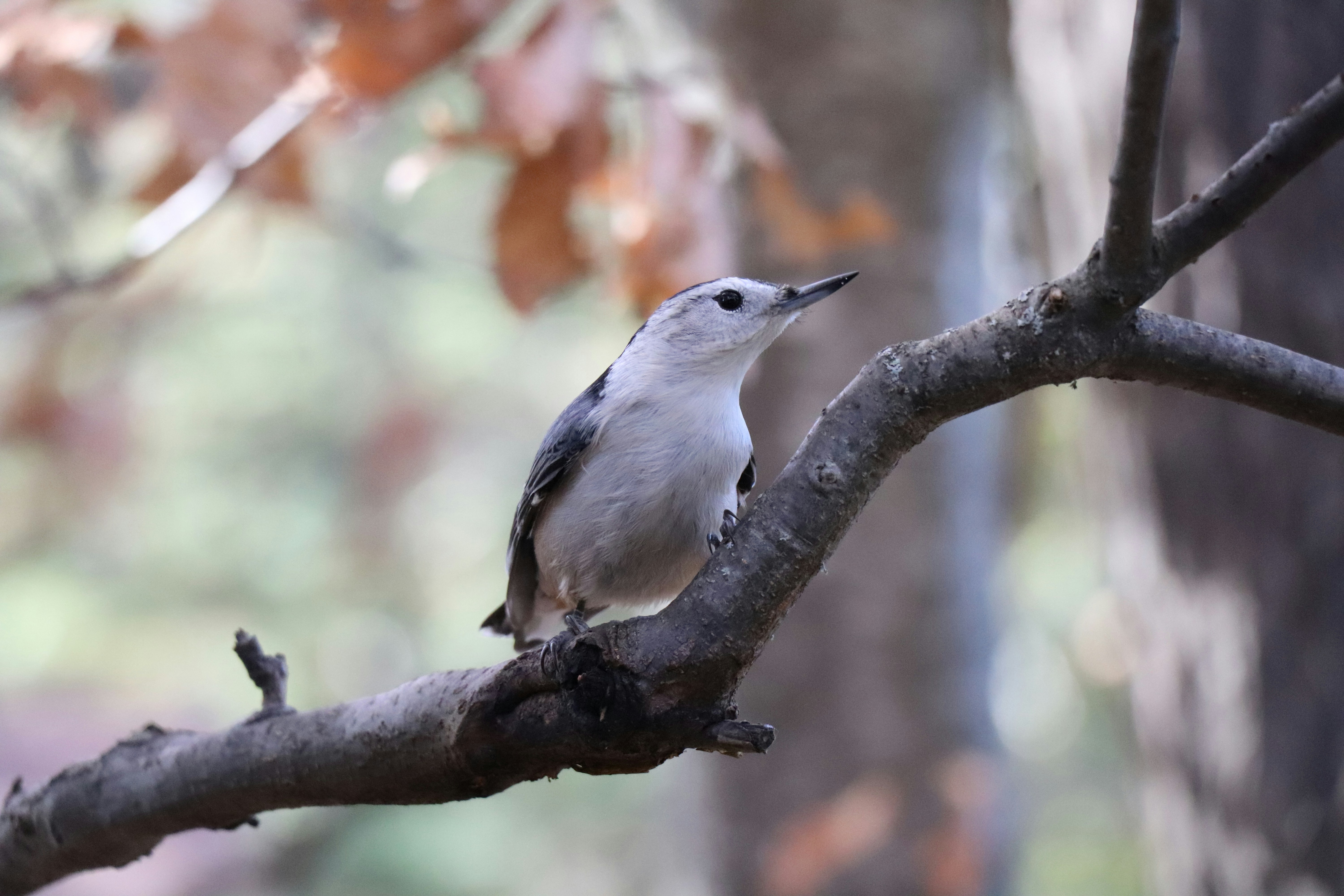 Photo by sandimagerart