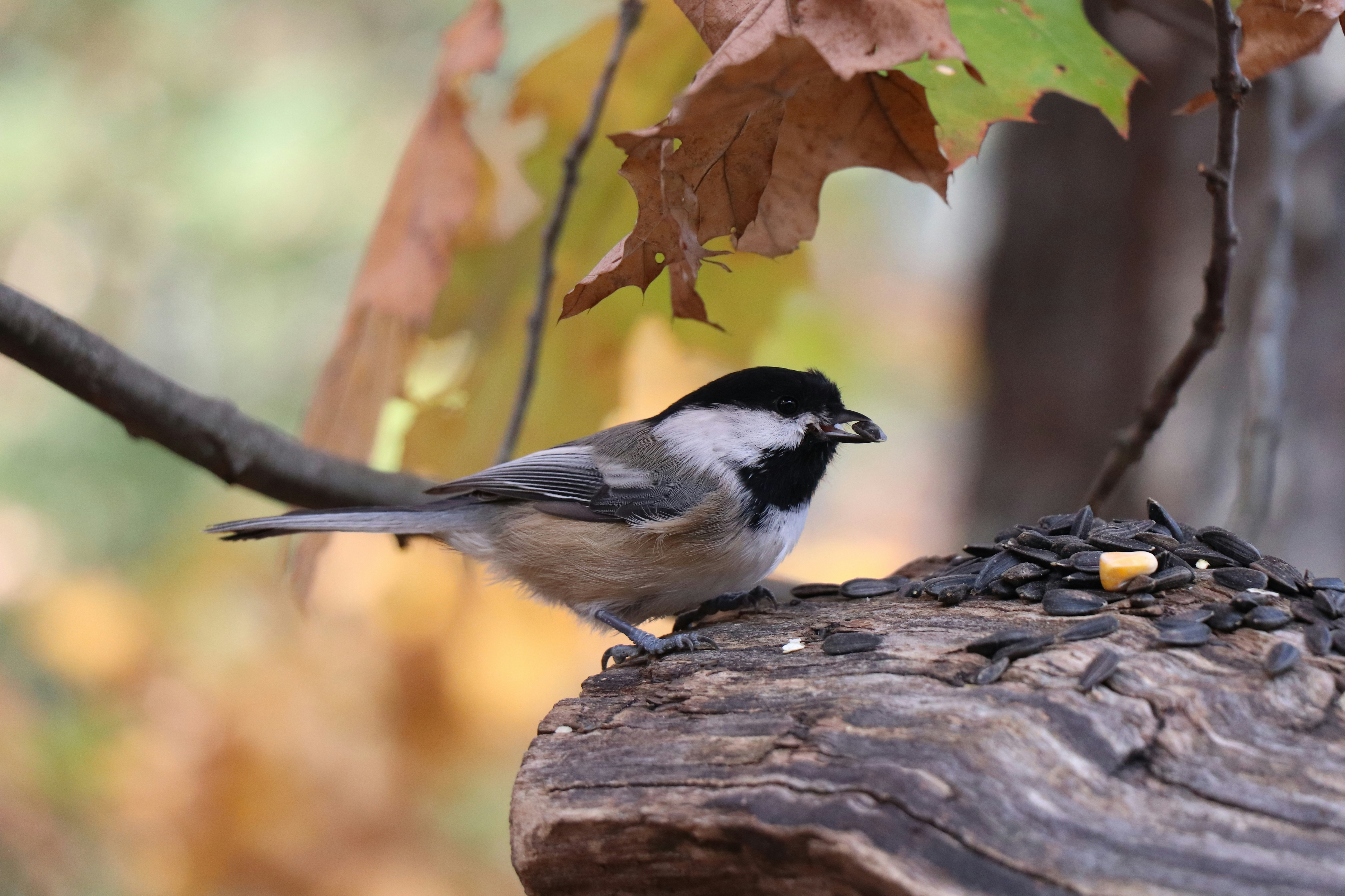 Photo by sandimagerart