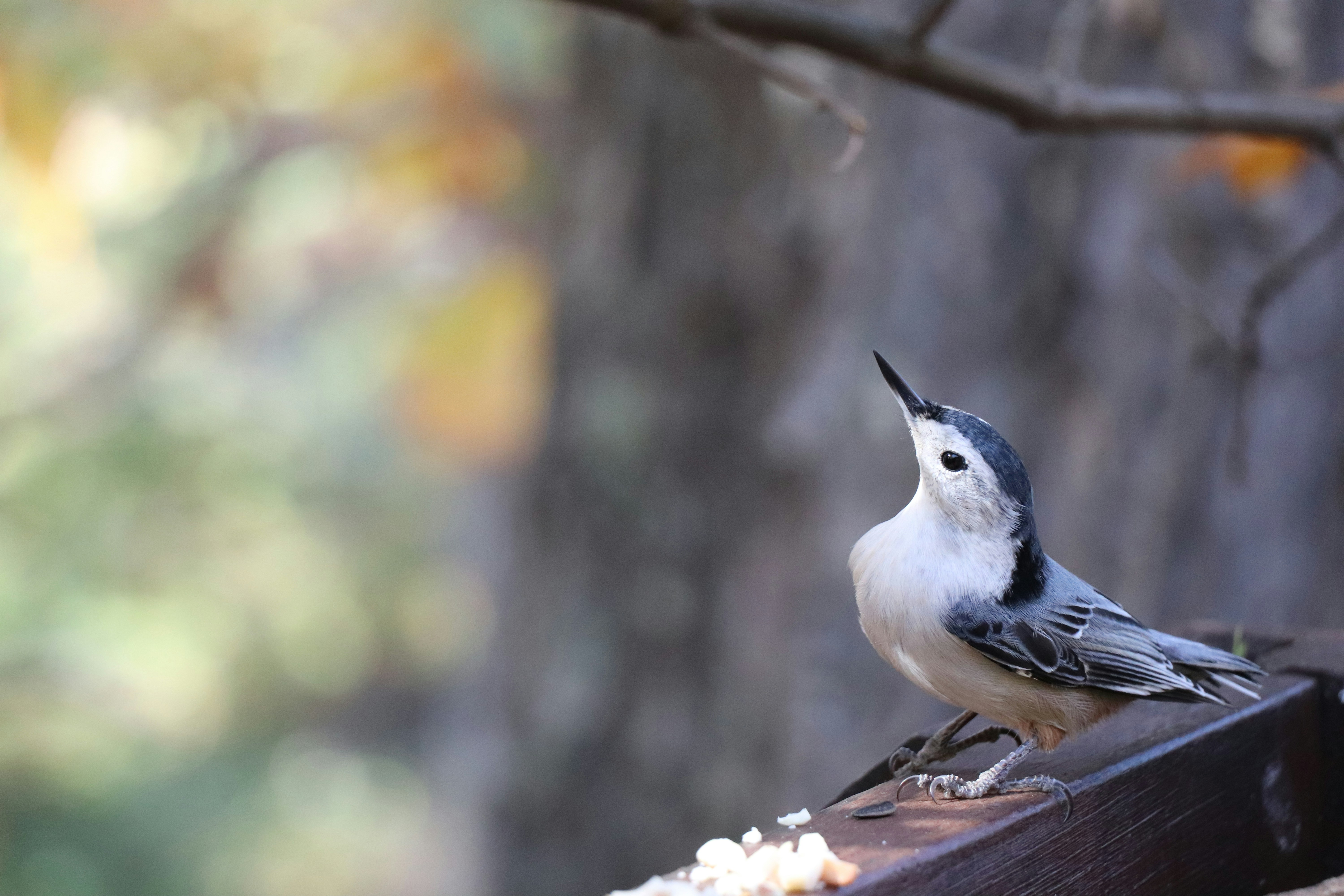 Photo by sandimagerart