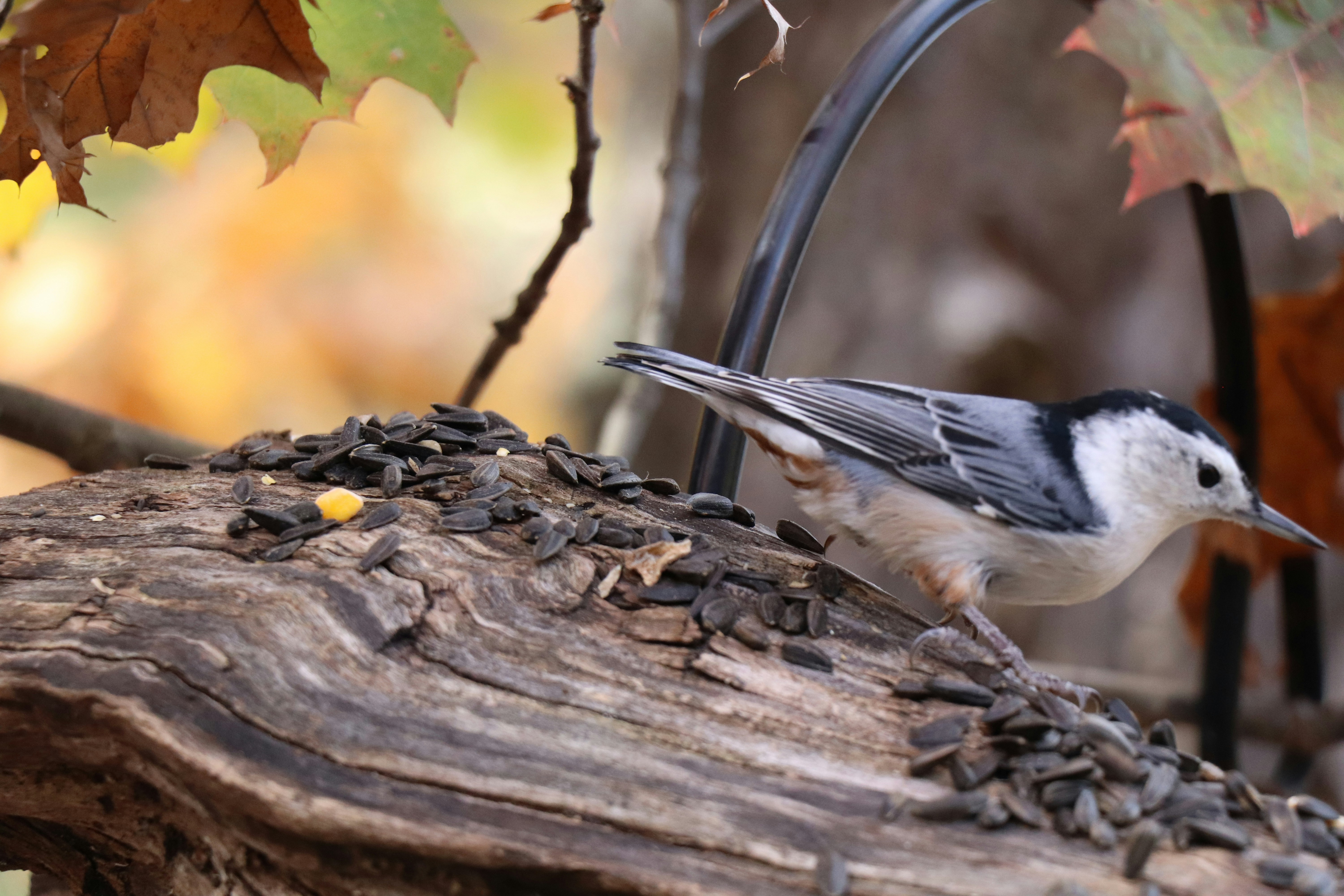 Photo by sandimagerart