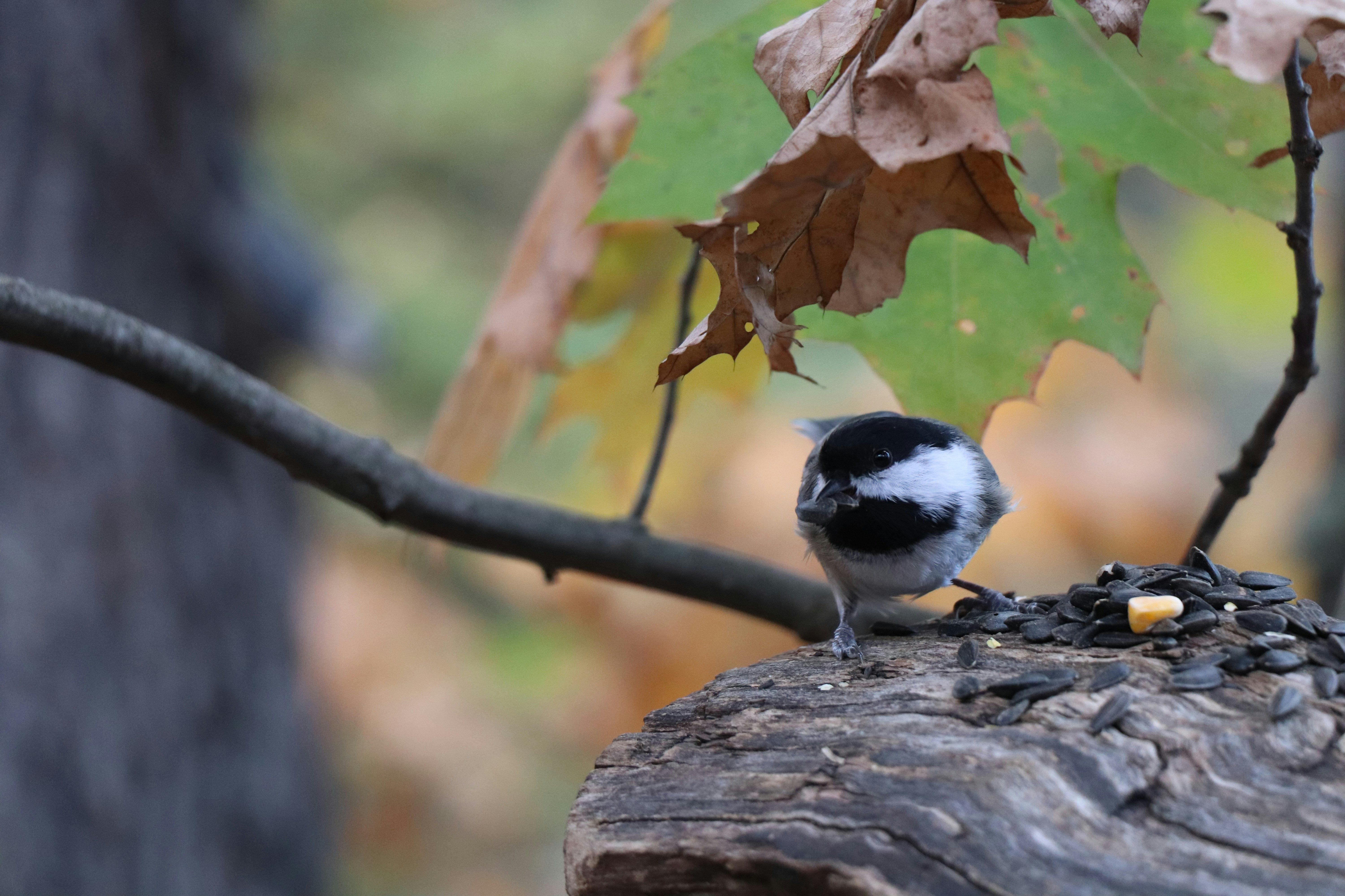 Photo by sandimagerart