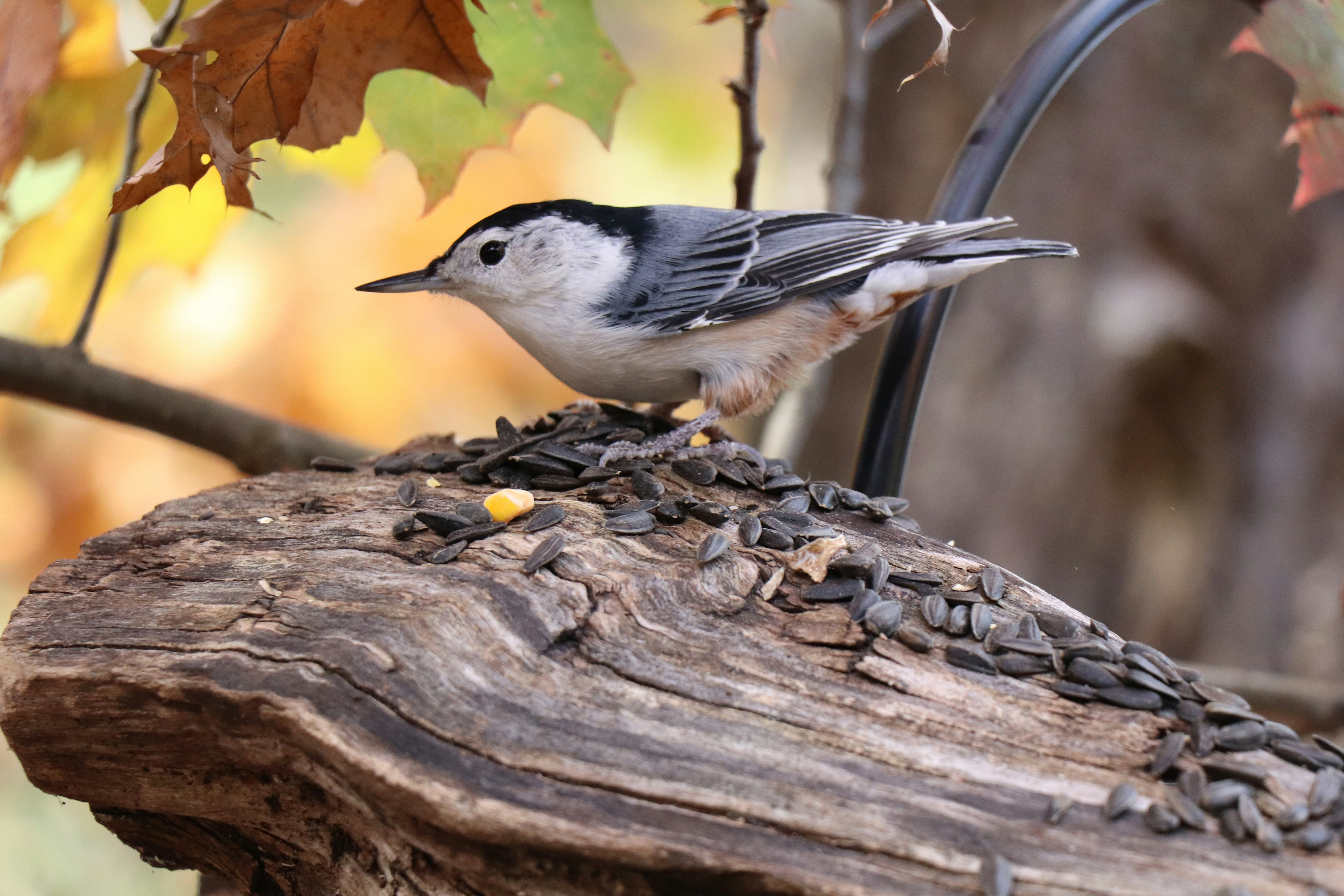 Photo by sandimagerart