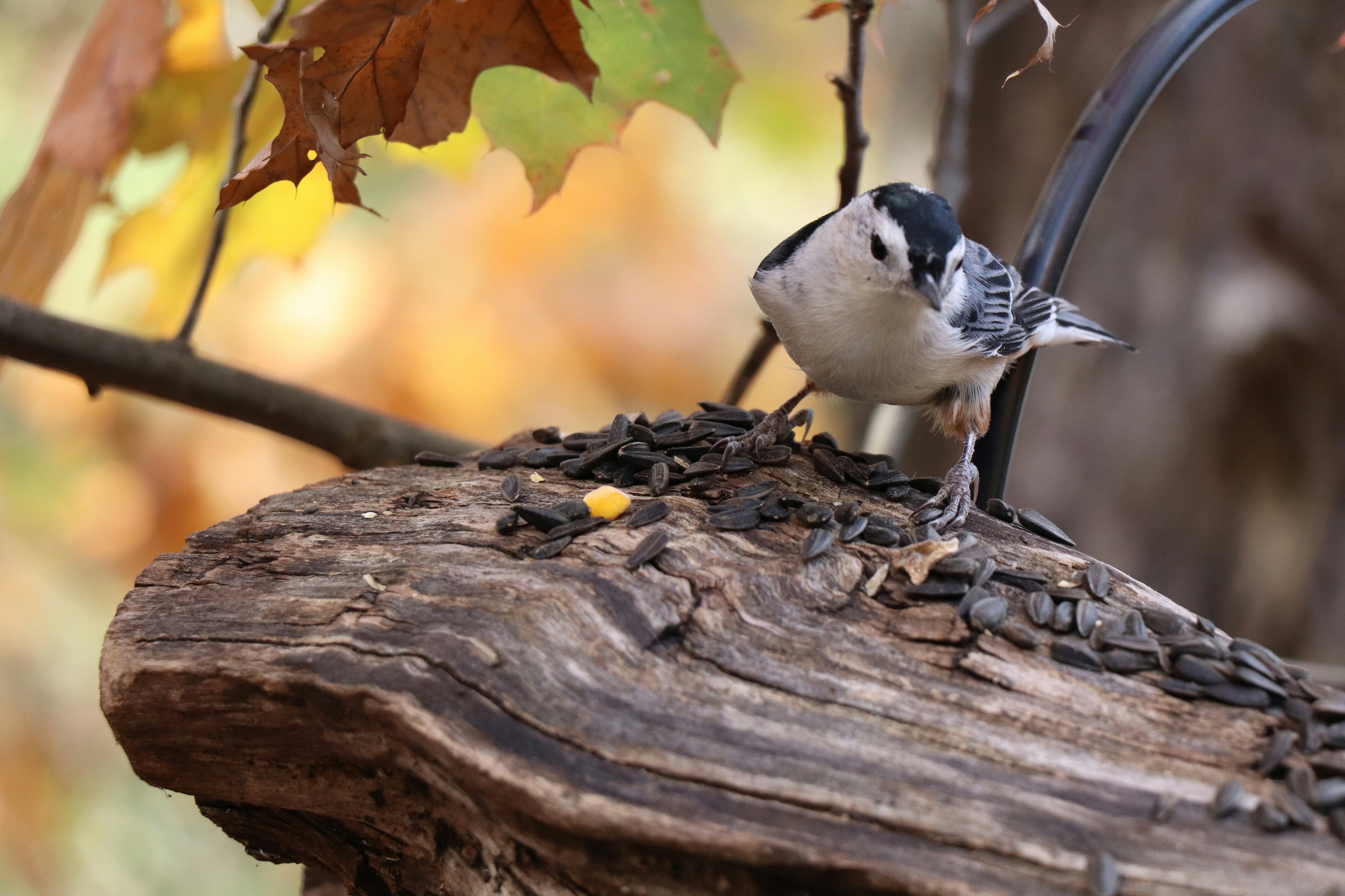 Photo by sandimagerart