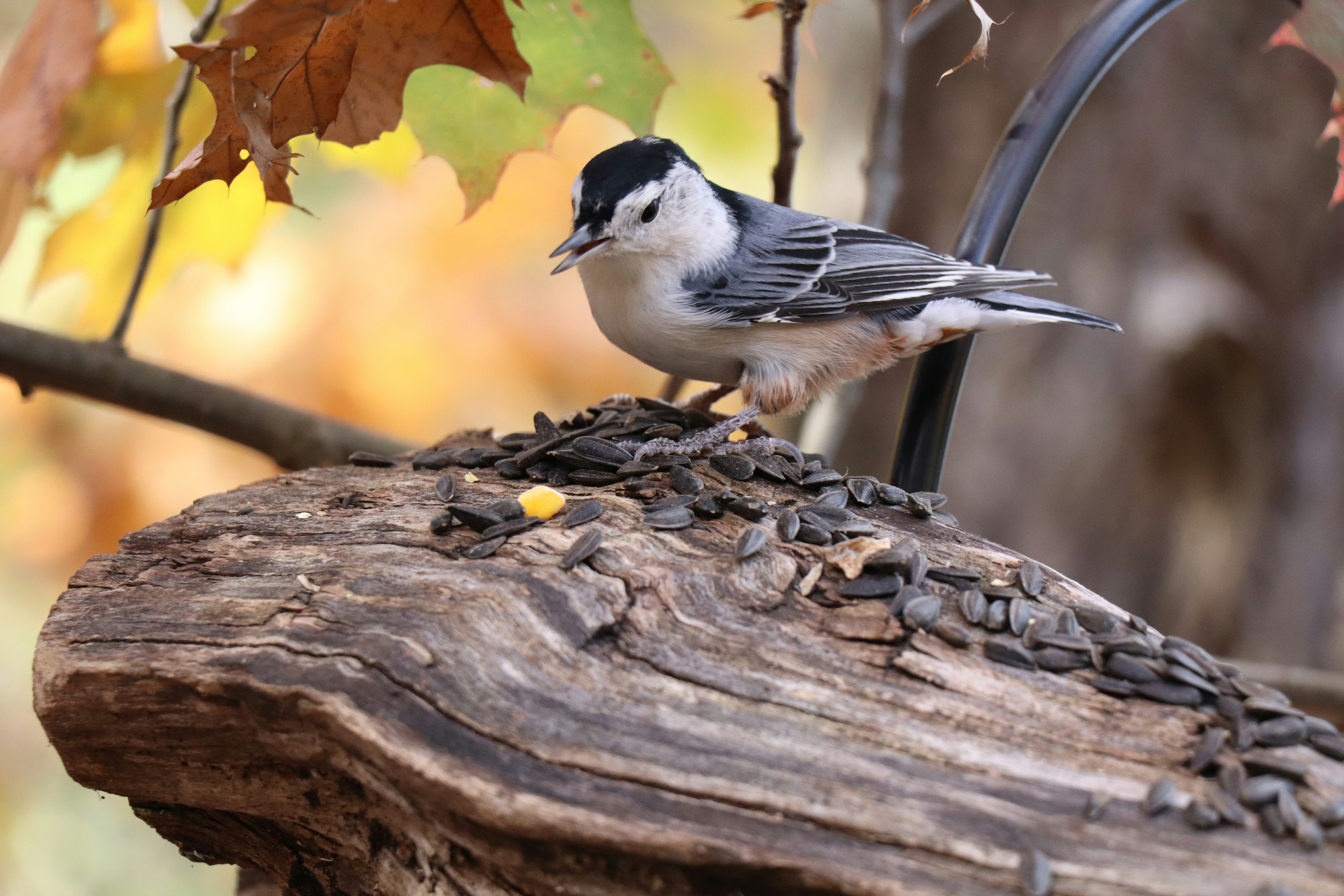 Photo by sandimagerart