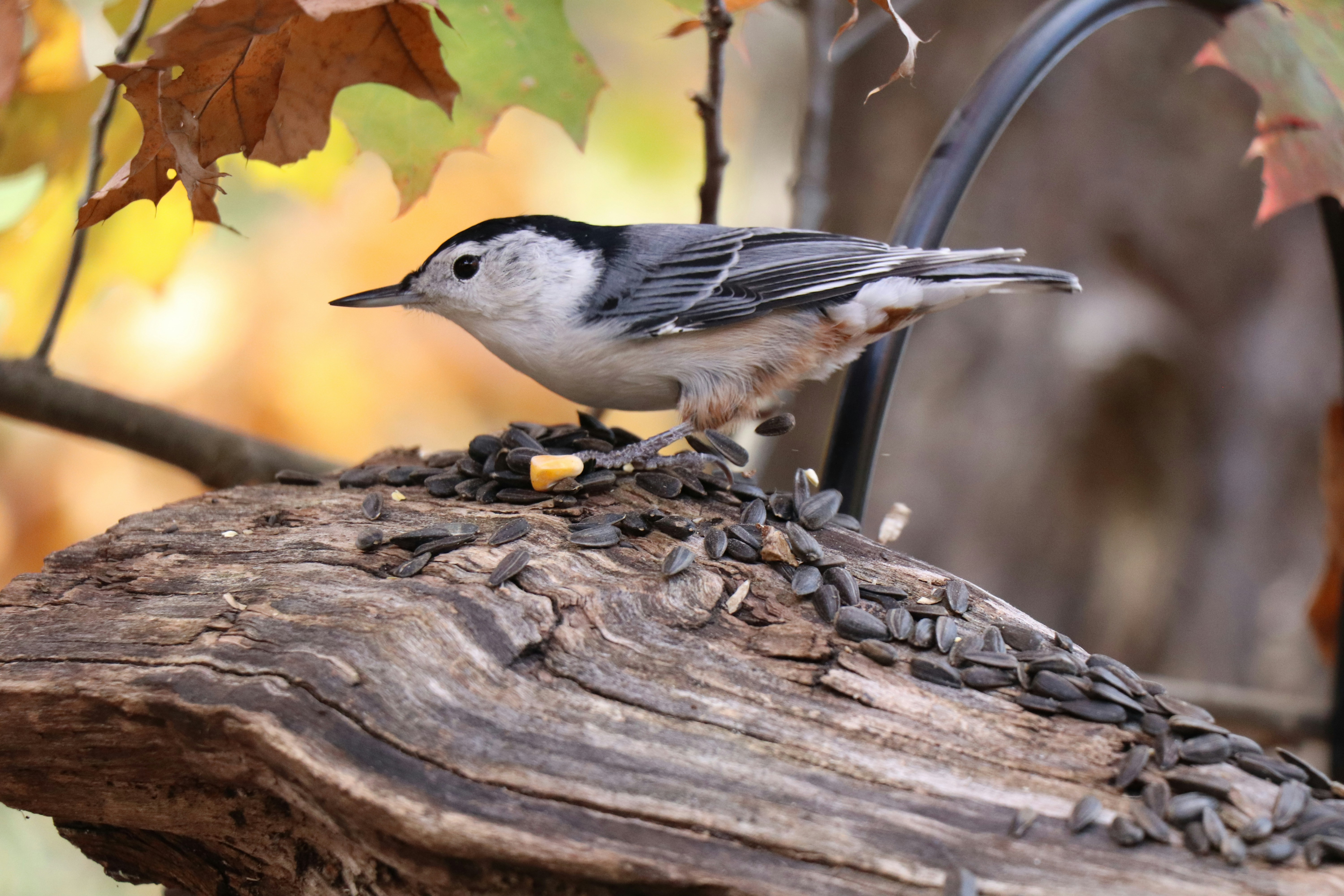 Photo by sandimagerart