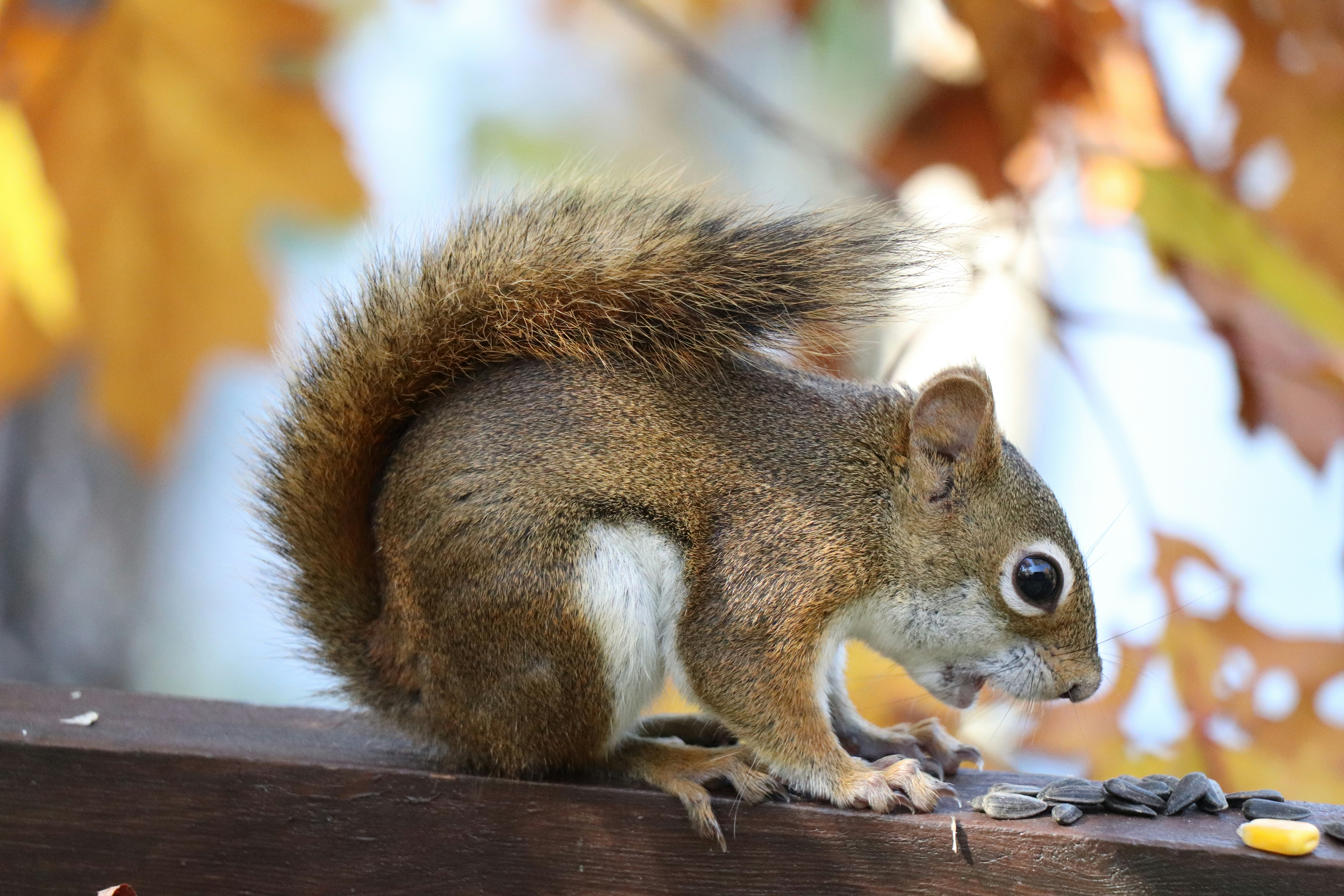 Photo by sandimagerart