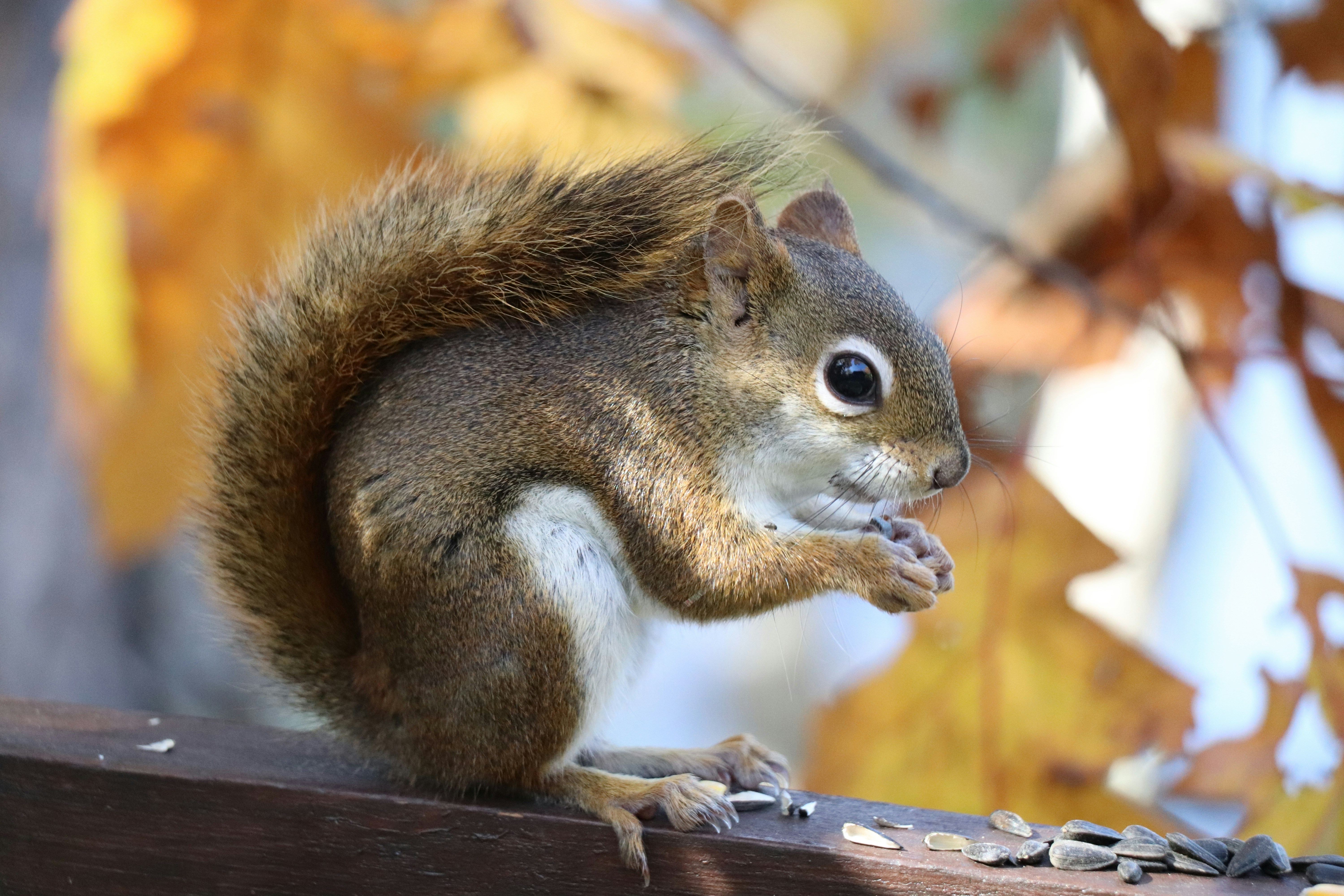 Photo by sandimagerart