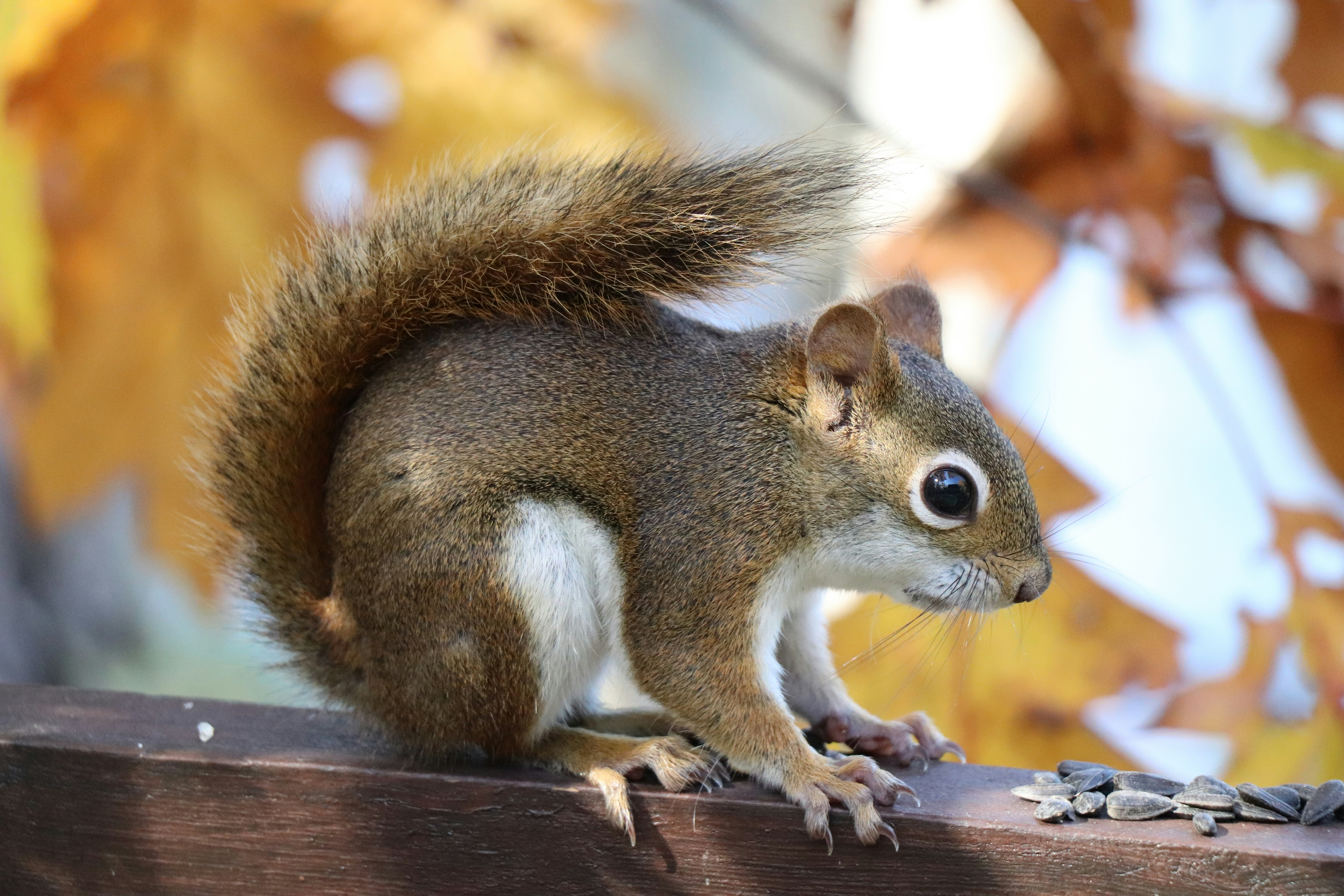 Photo by sandimagerart