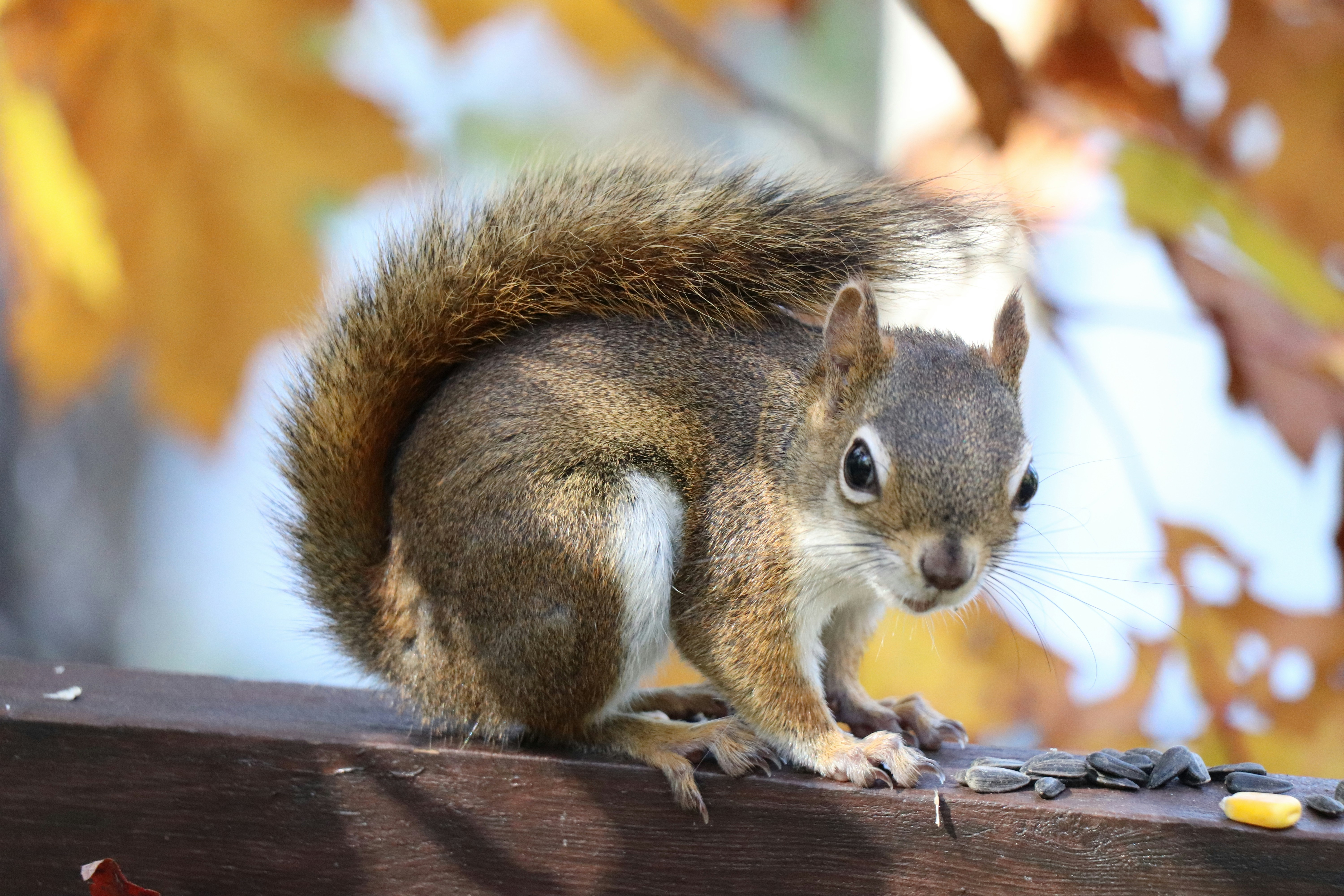 Photo by sandimagerart