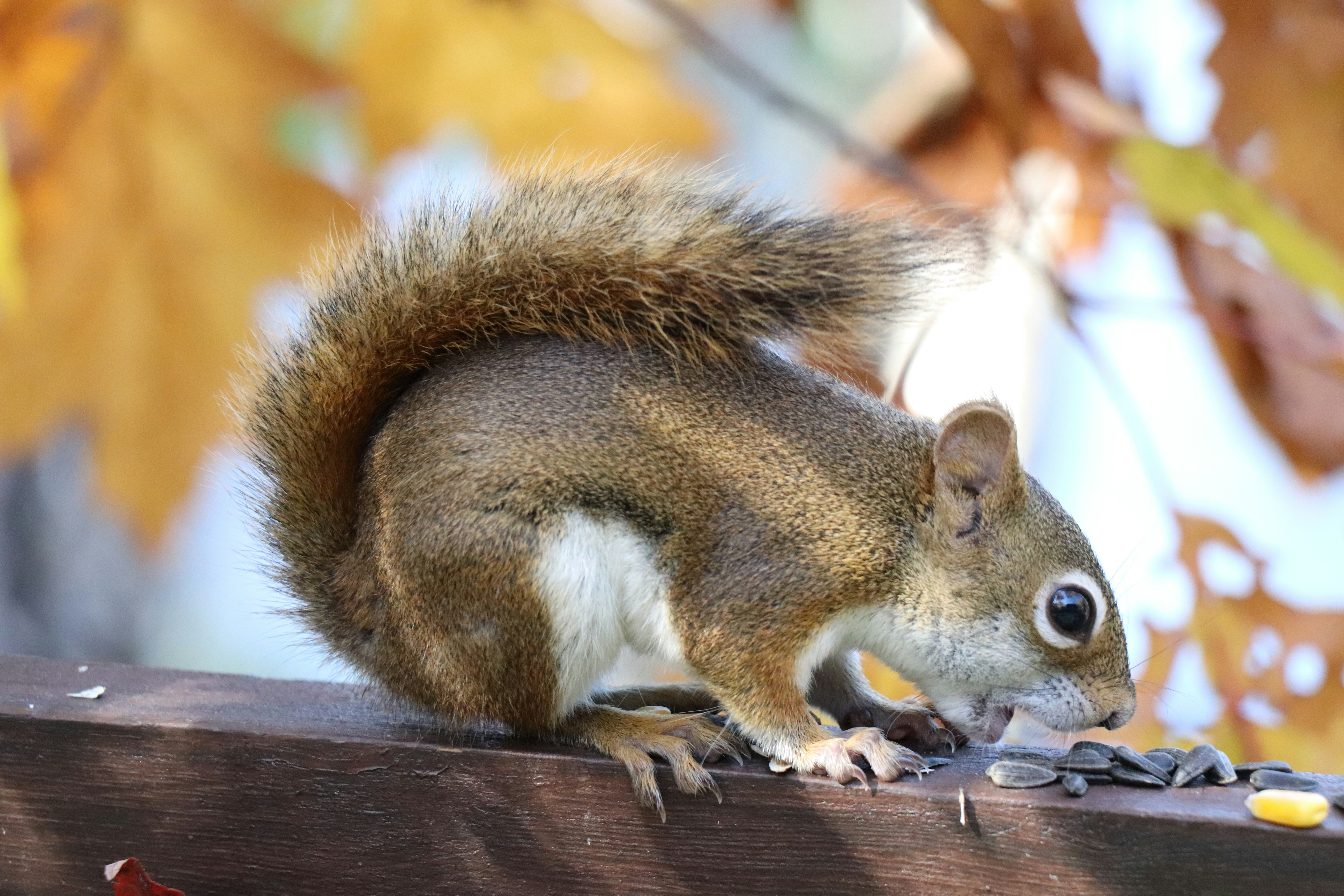 Photo by sandimagerart