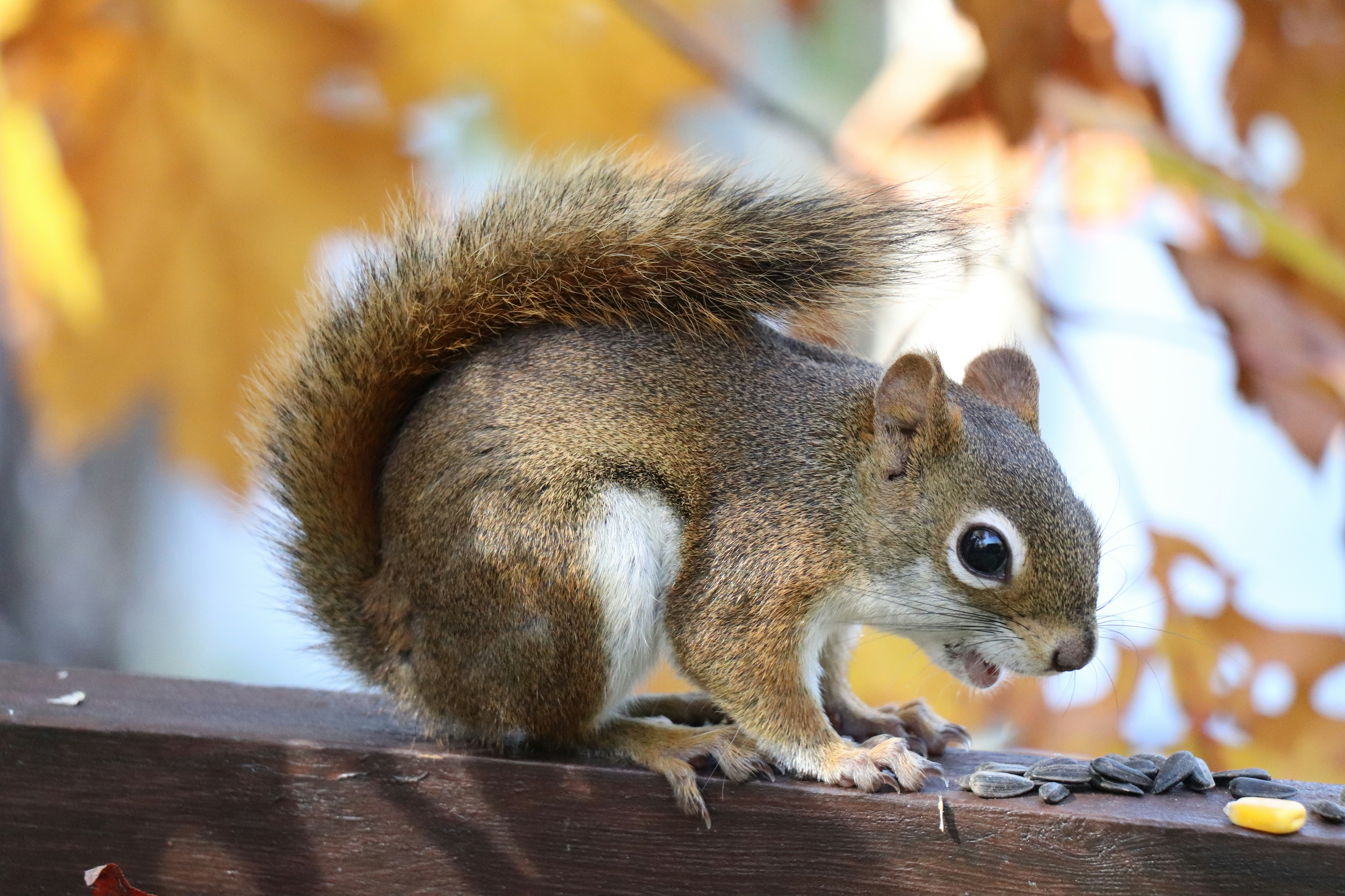 Photo by sandimagerart