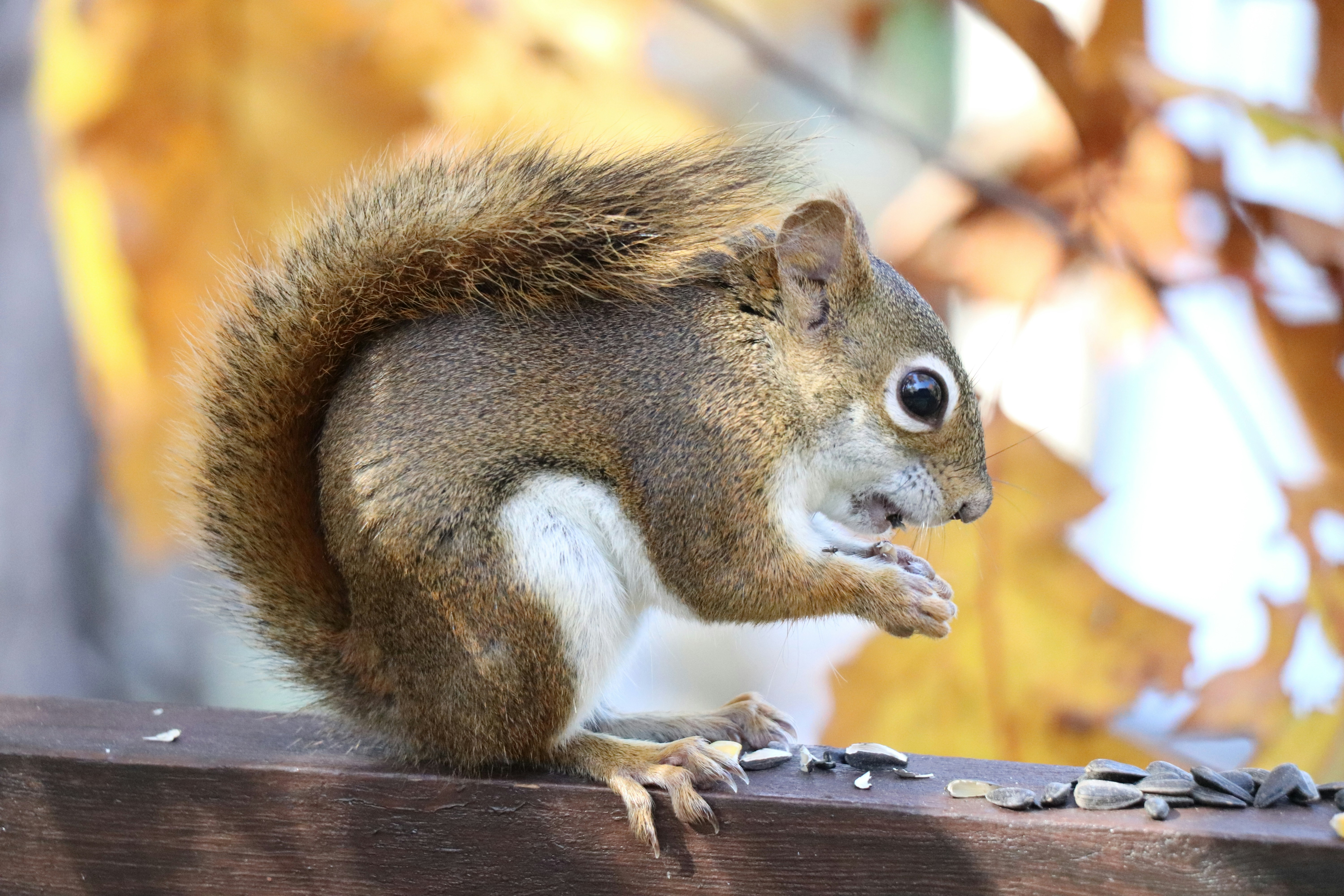 Photo by sandimagerart