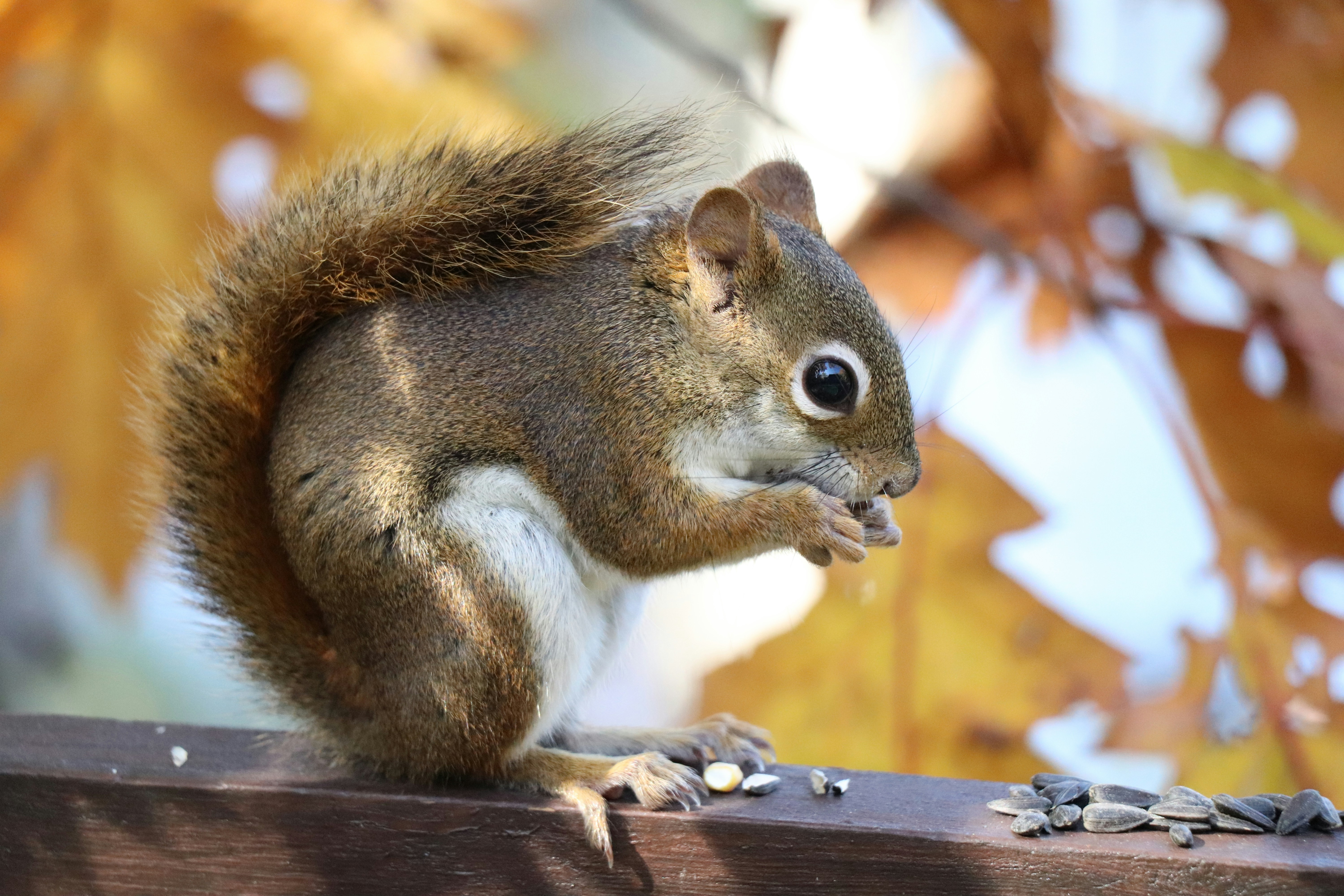 Photo by sandimagerart