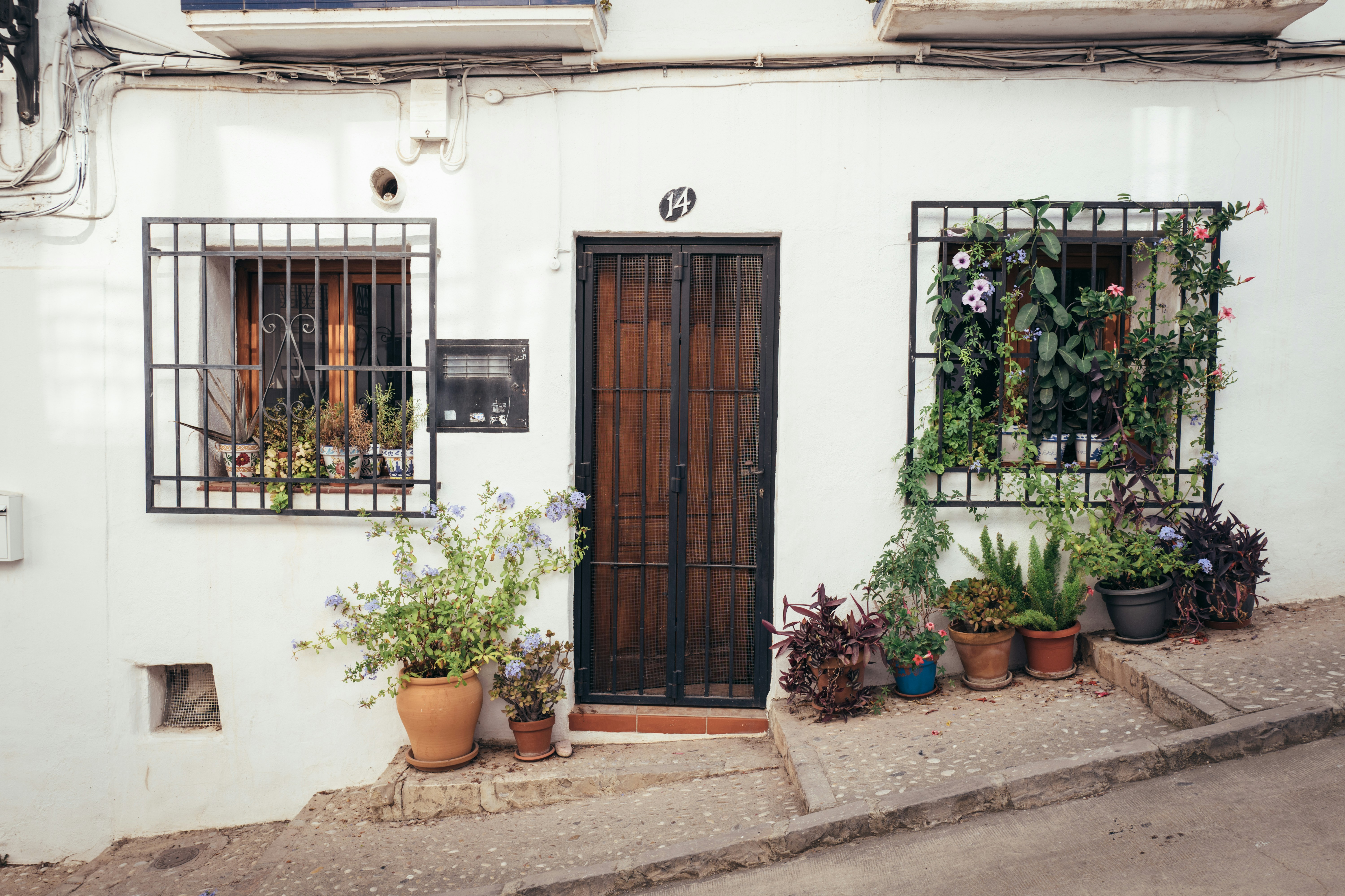 White house facade with potted plants and wooden door.