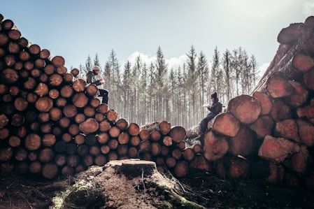 Two people sitting on stacks of cut logs