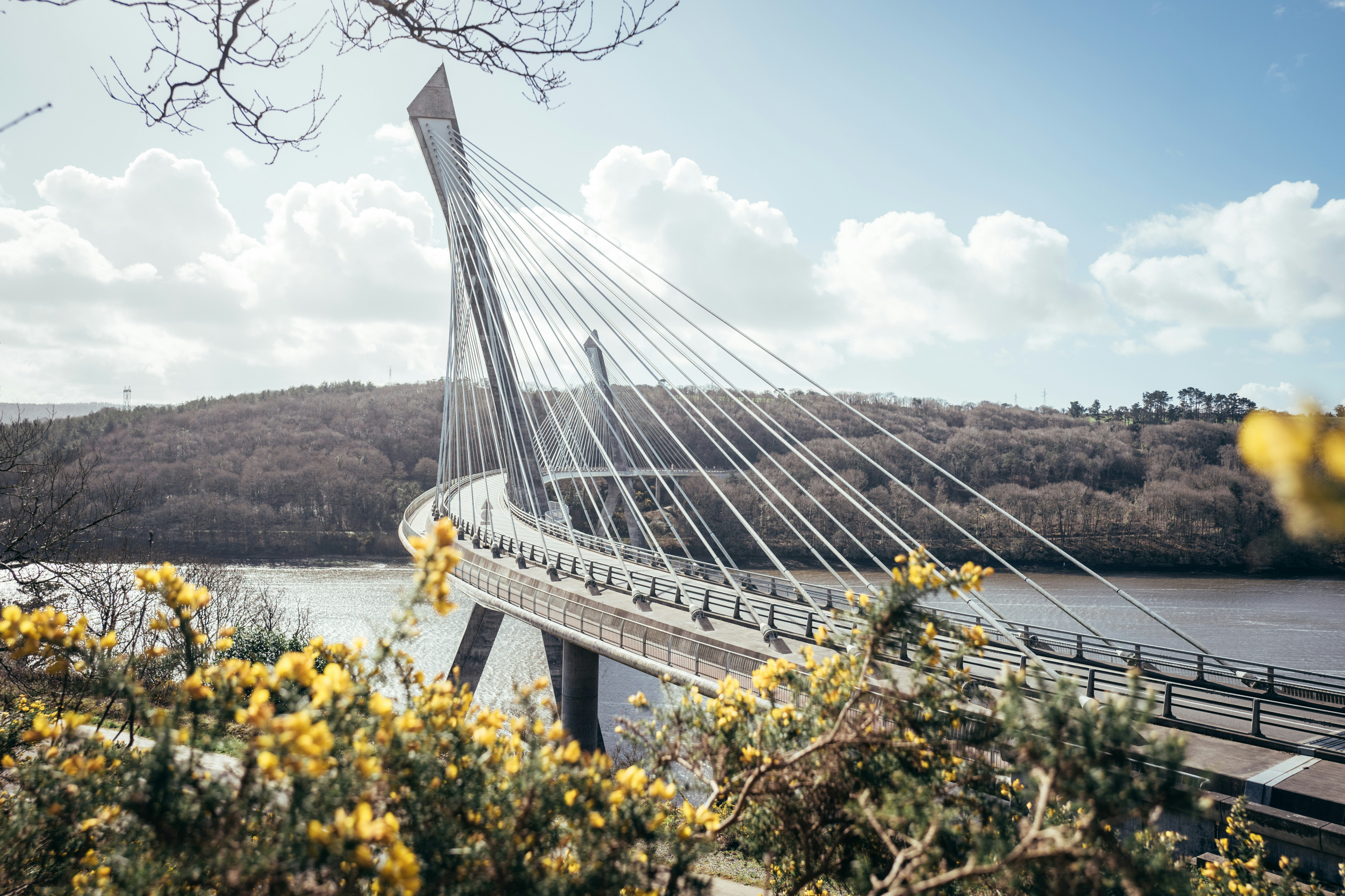 Modern cable-stayed bridge over a river with trees.
