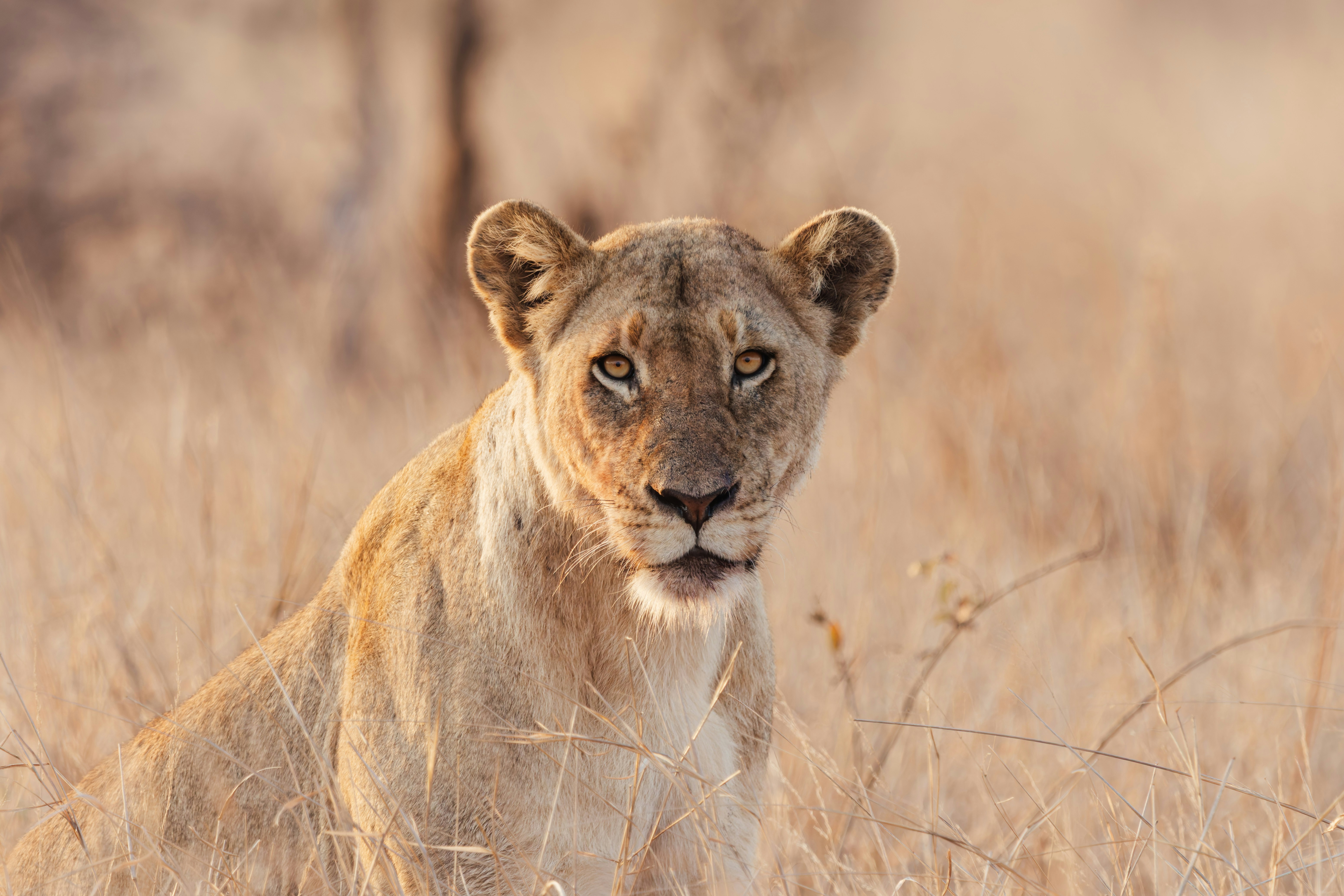 The Mix Of Eastern And Western Healing In Integrative Medicine