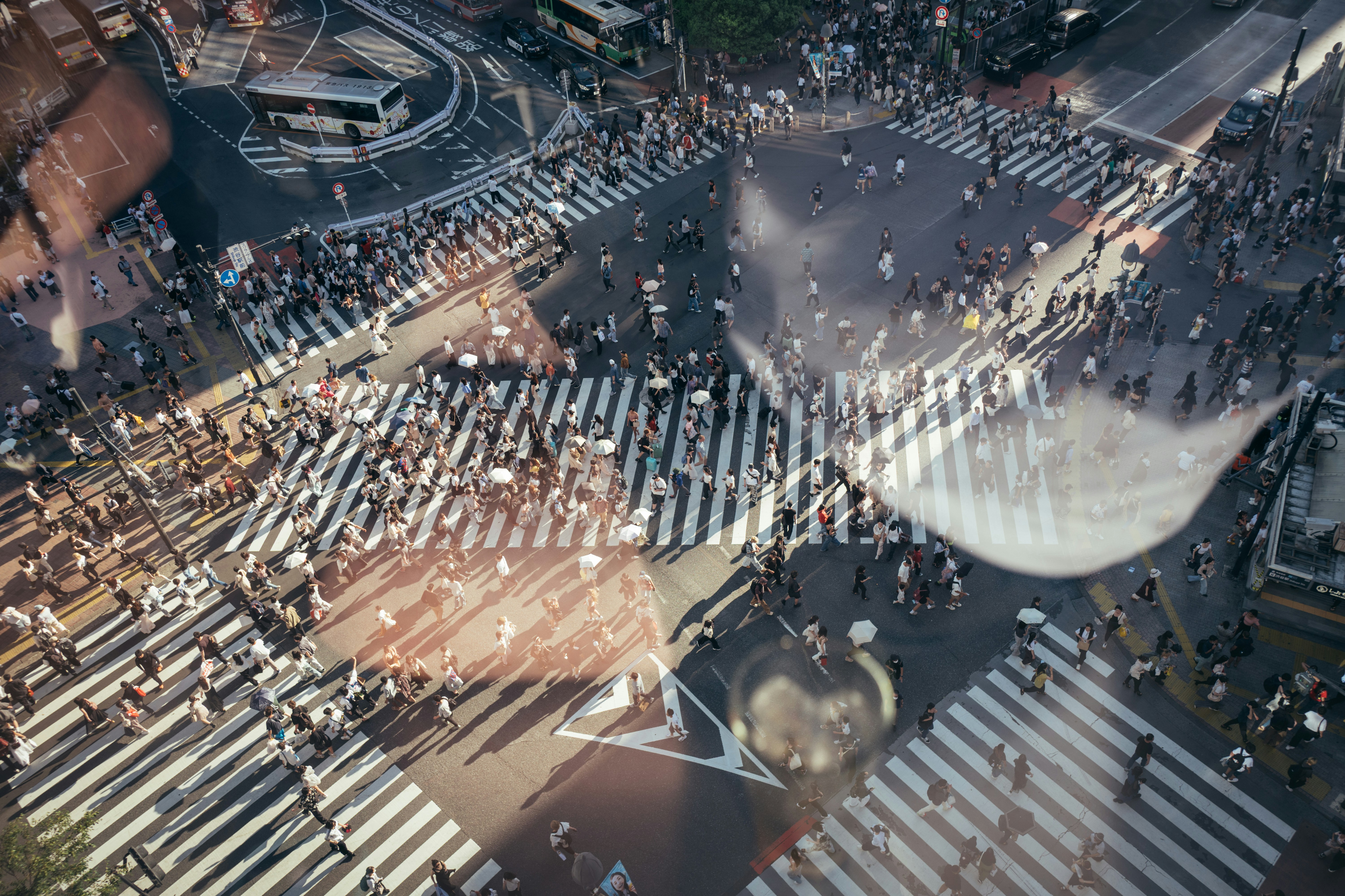 An In-Depth Review Of All-Natural And Medical Methods For Rheumatoid Joint Inflammation Therapy